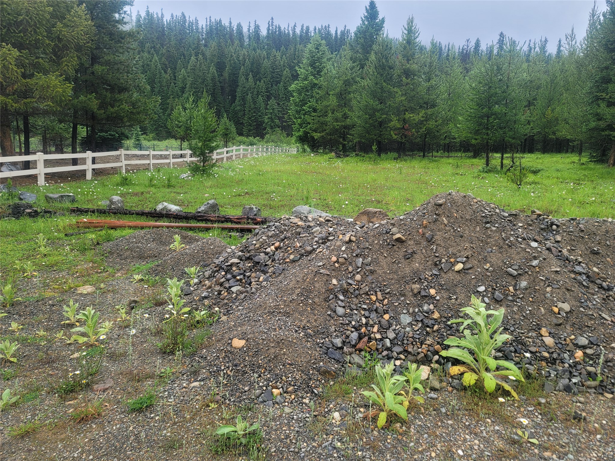 104 Lone Wolf Trail Property Photo 11