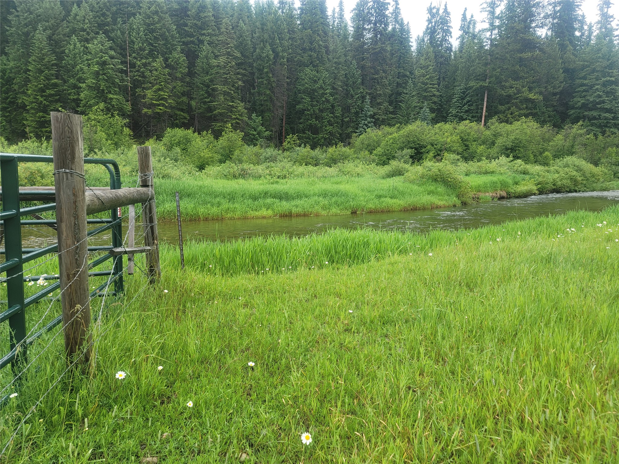 104 Lone Wolf Trail Property Photo 13