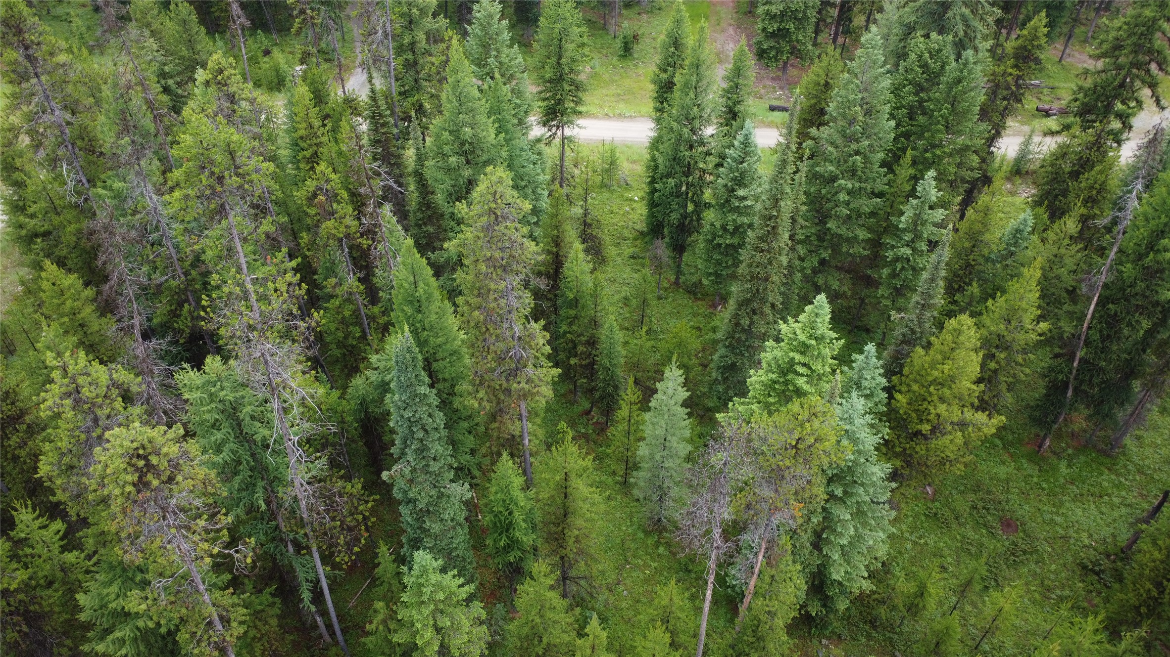 104 Lone Wolf Trail Property Photo 22