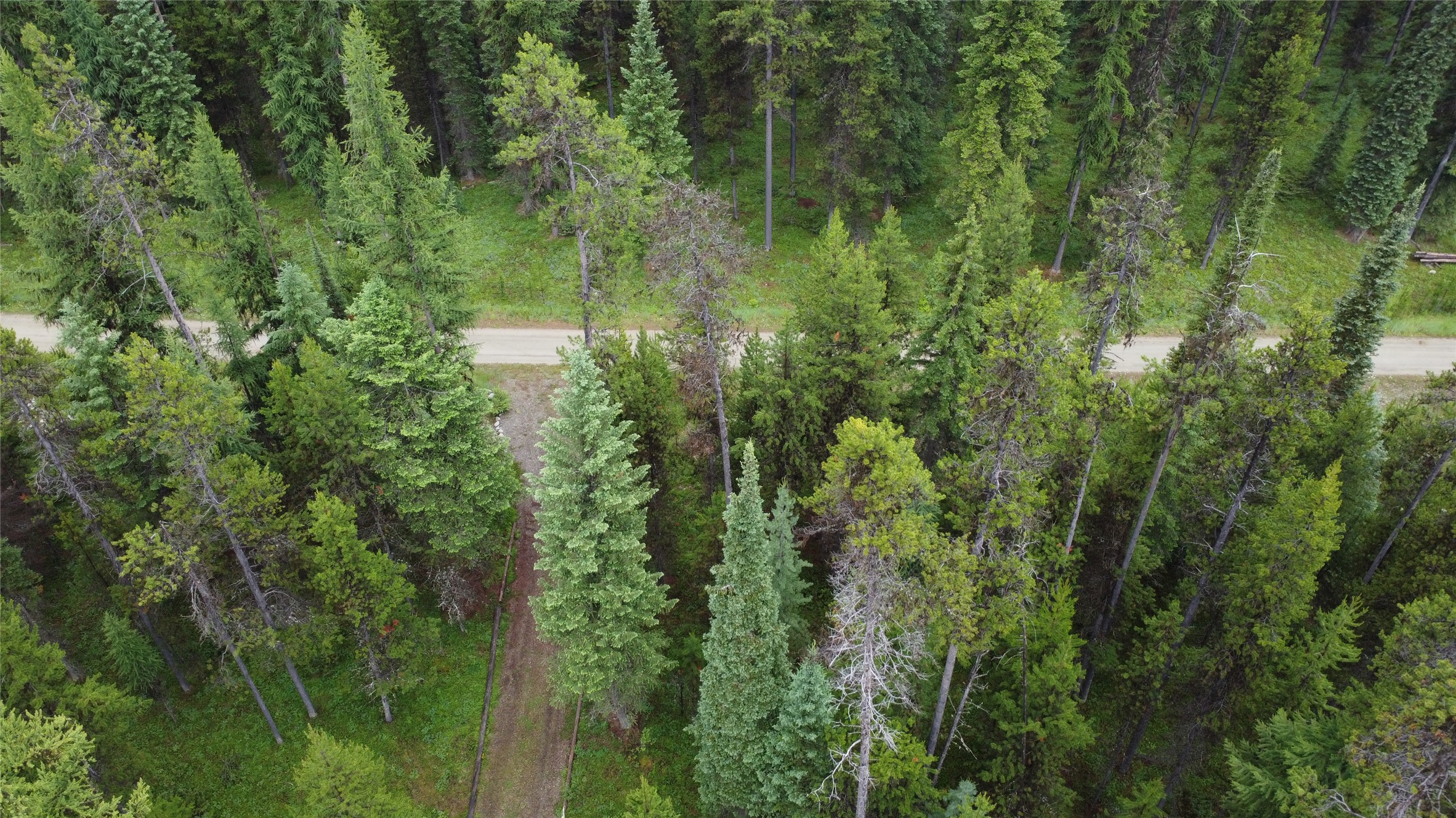 104 Lone Wolf Trail Property Photo 25