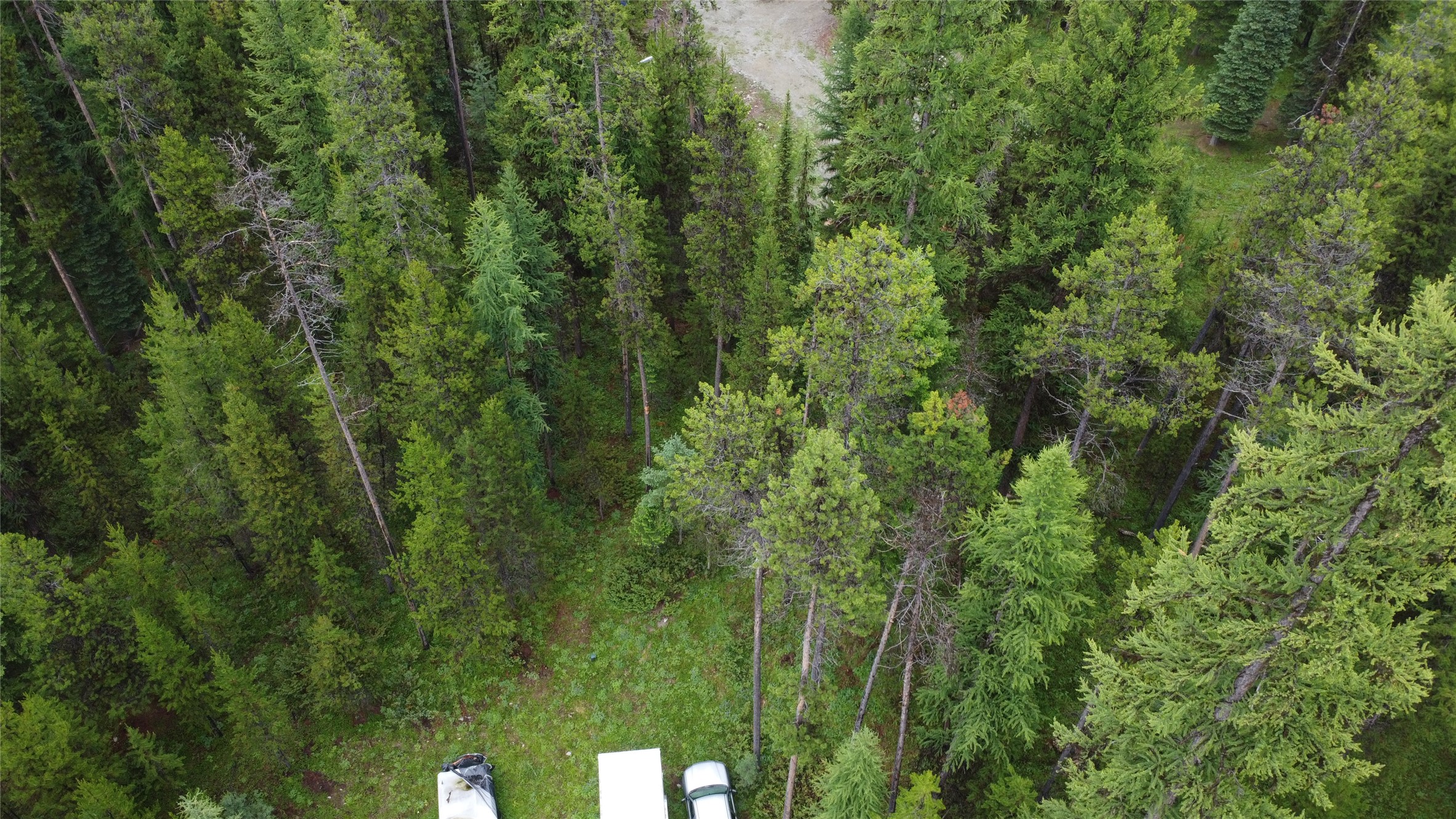 104 Lone Wolf Trail Property Photo 27