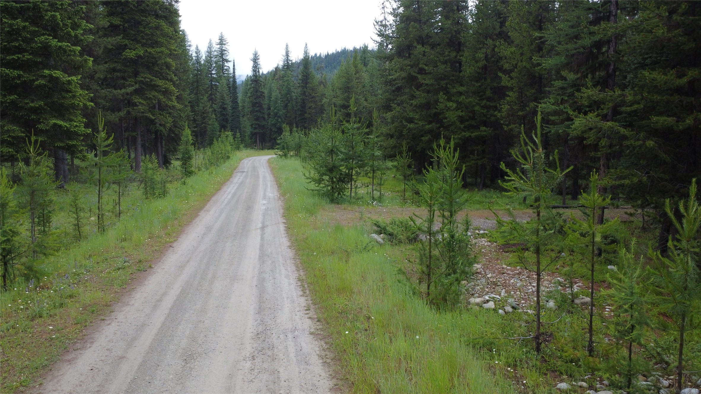 104 Lone Wolf Trail Property Photo 40