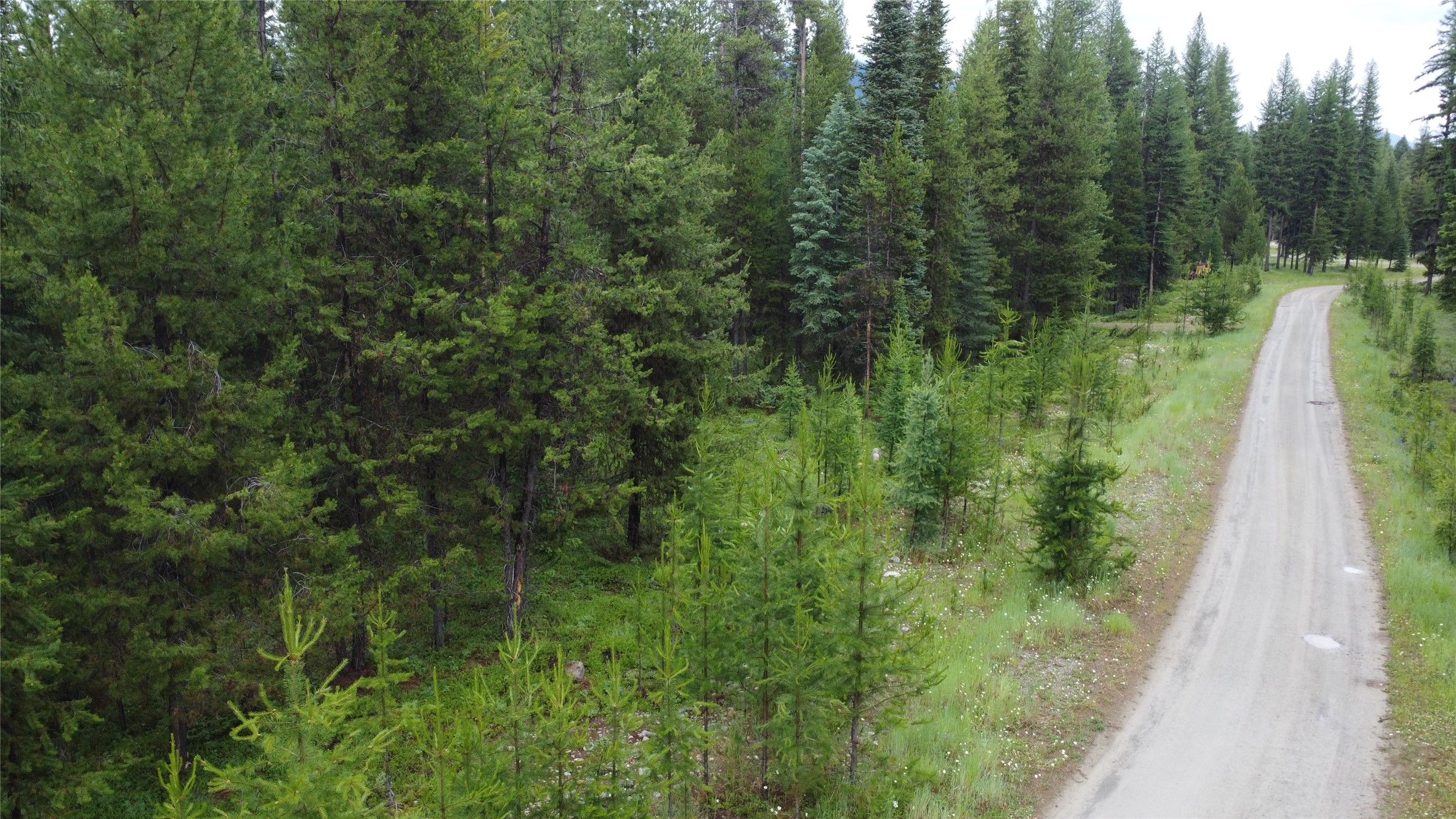 104 Lone Wolf Trail Property Photo 43