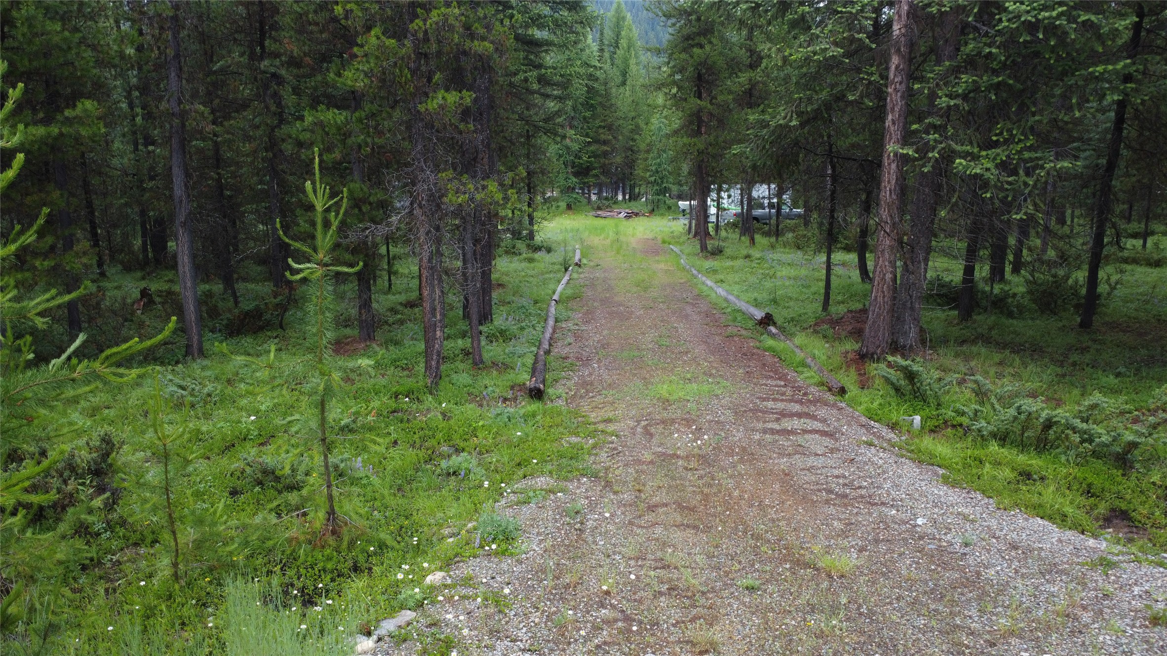 104 Lone Wolf Trail Property Photo 44