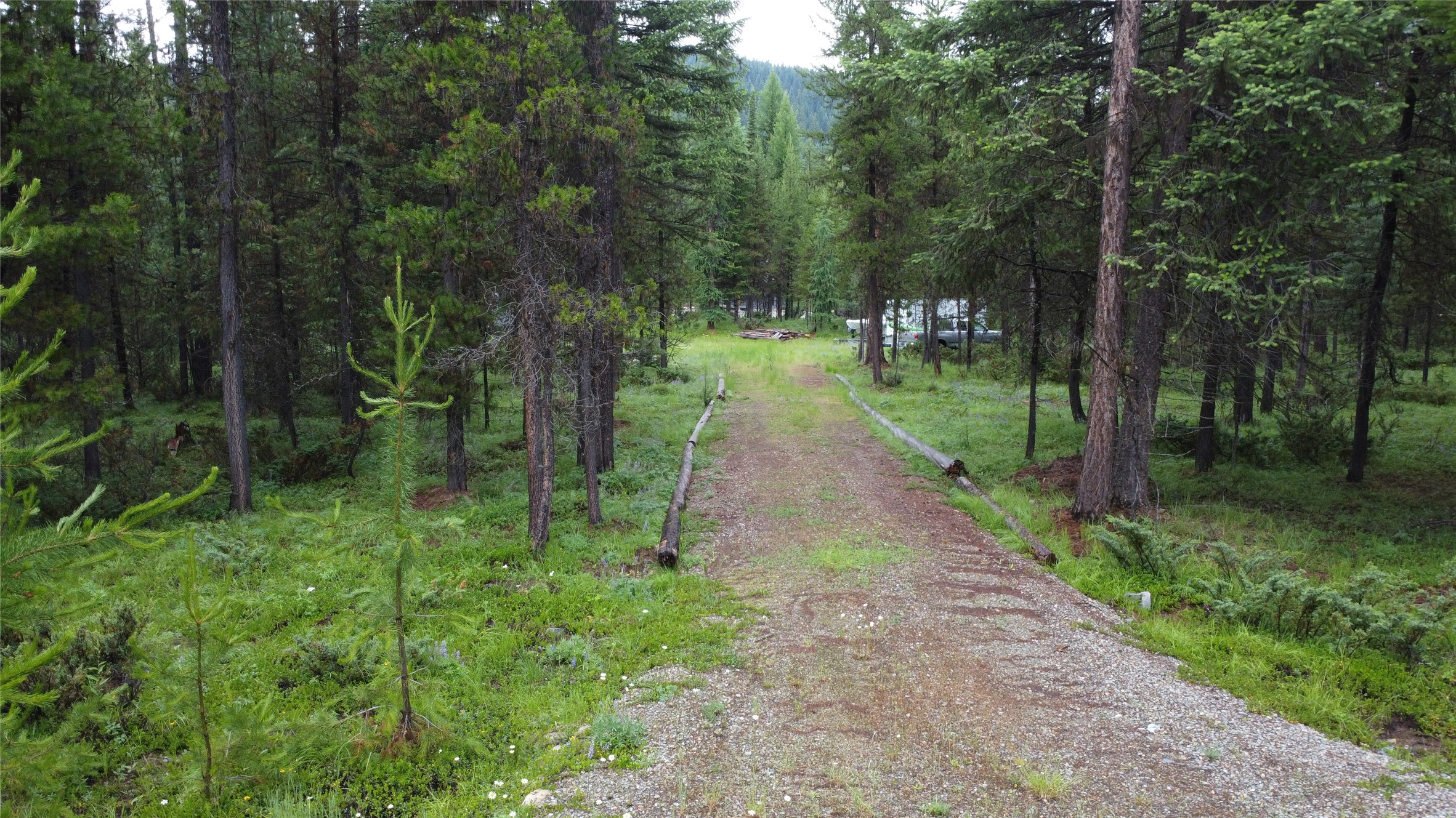 104 Lone Wolf Trail Property Photo 45