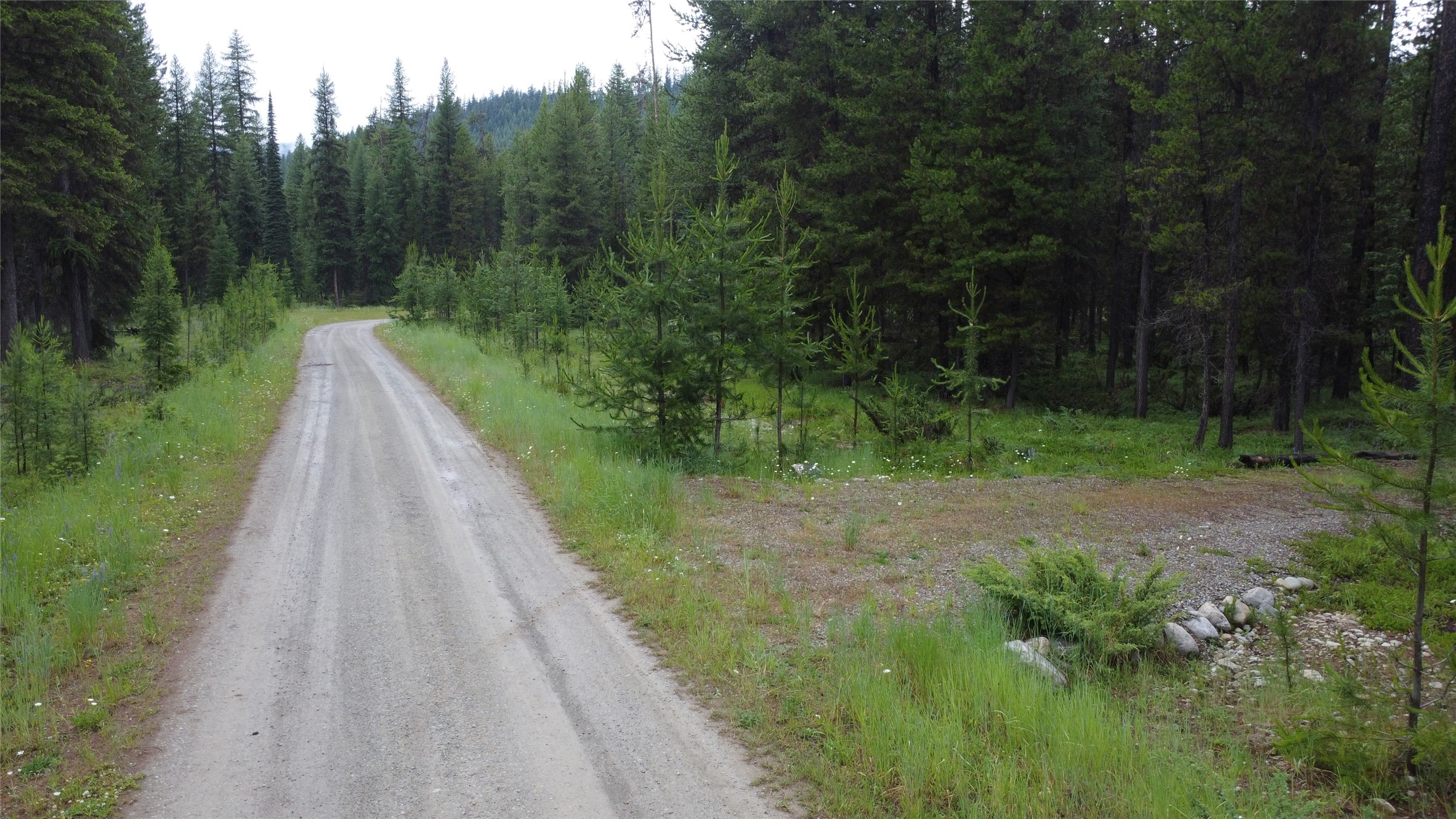 104 Lone Wolf Trail Property Photo 46
