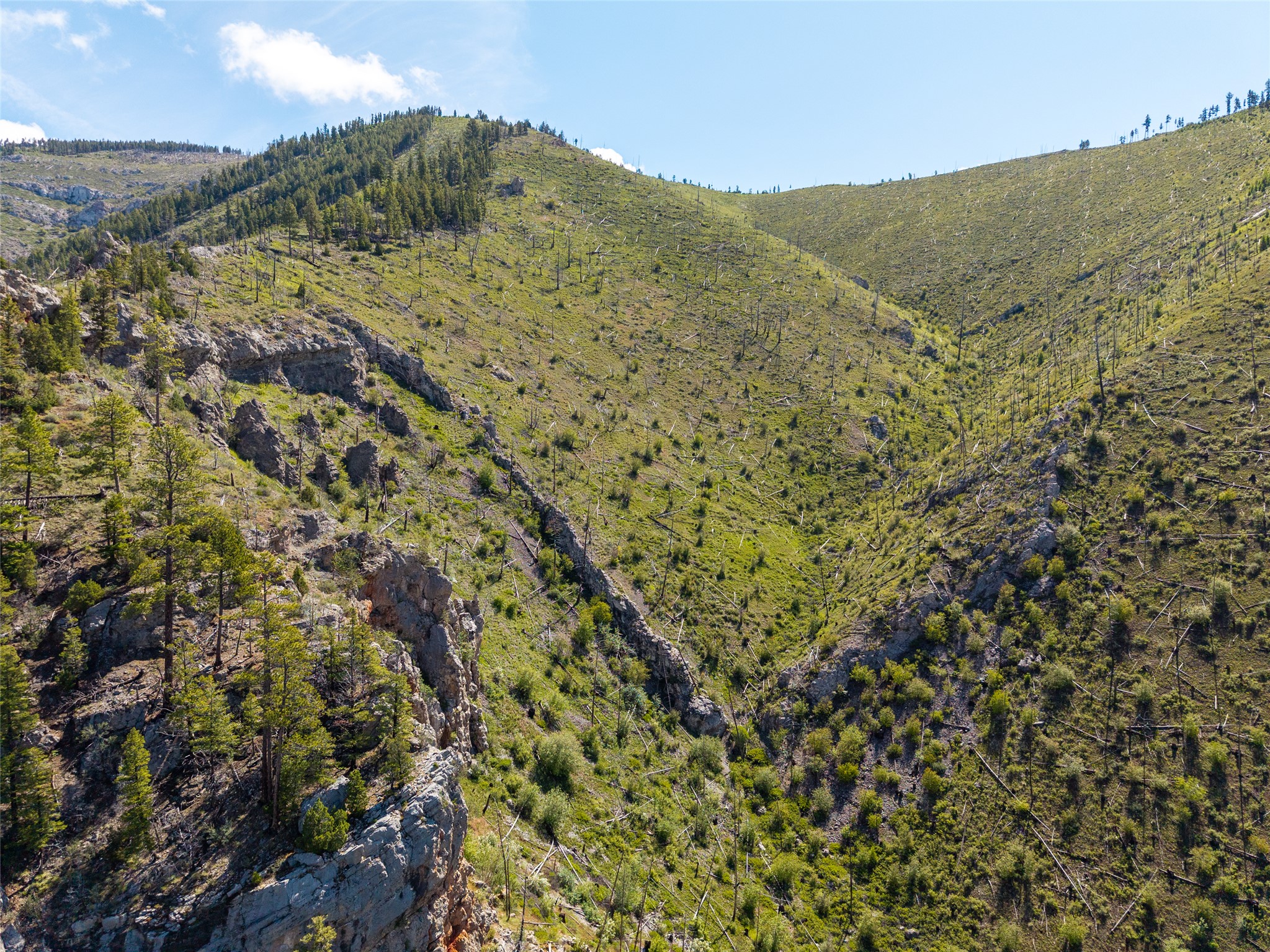 15520 Dry Gulch Road Property Photo 13