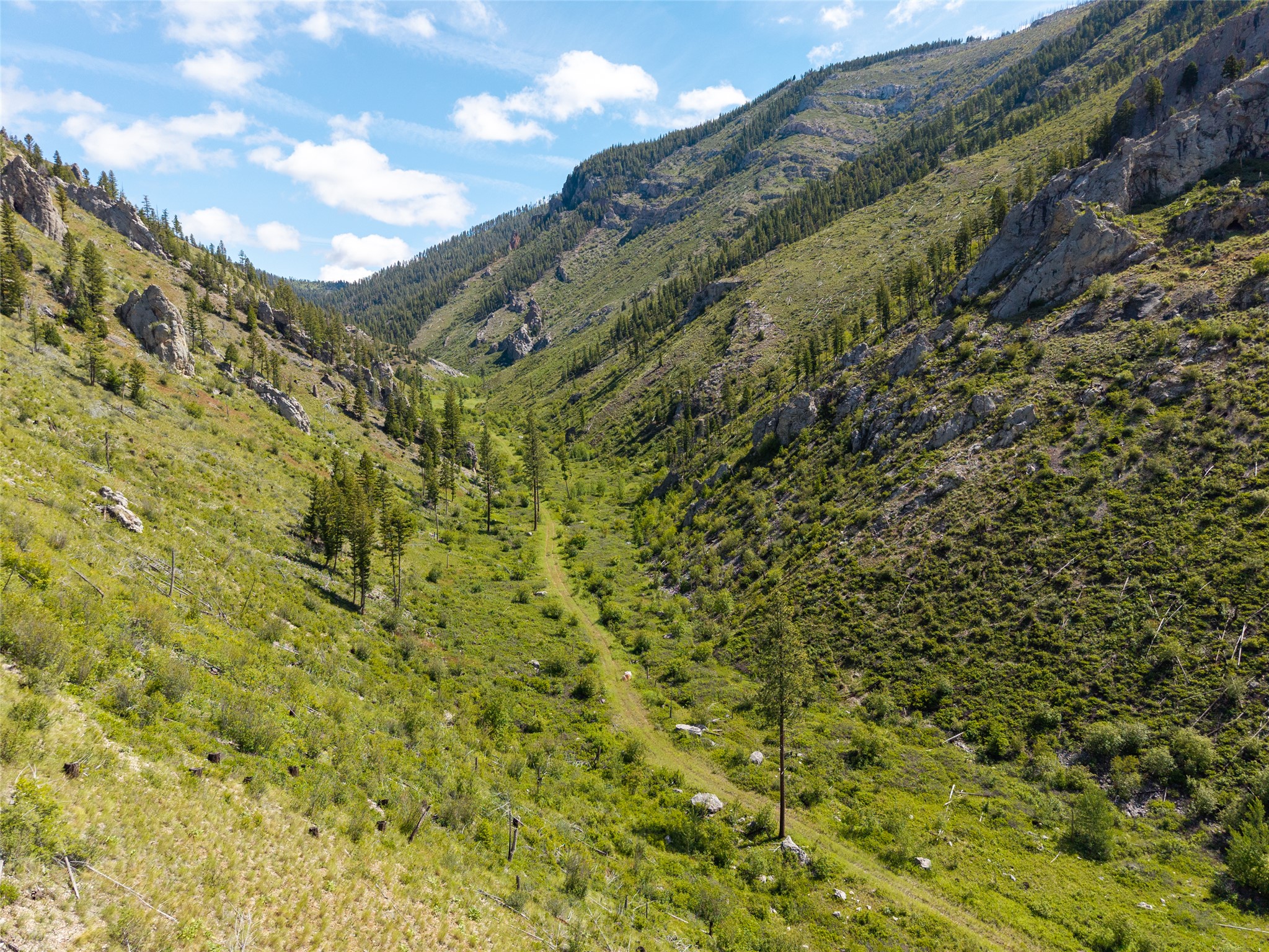 15520 Dry Gulch Road Property Photo 16