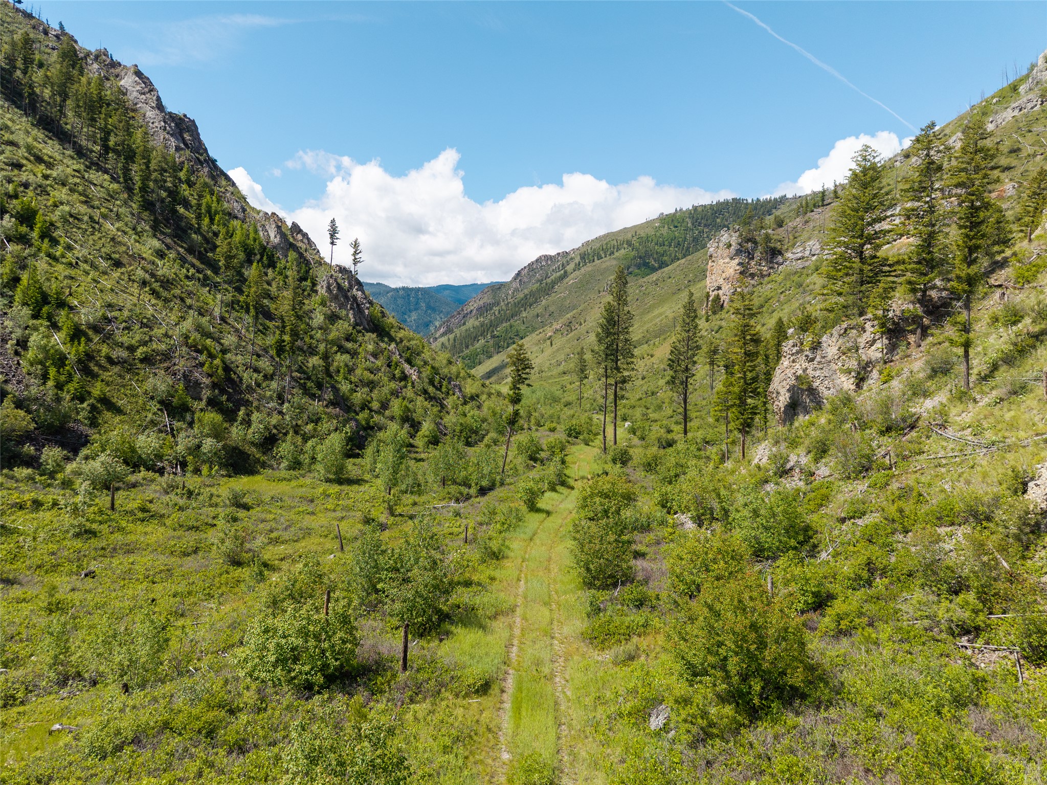 15520 Dry Gulch Road Property Photo 17