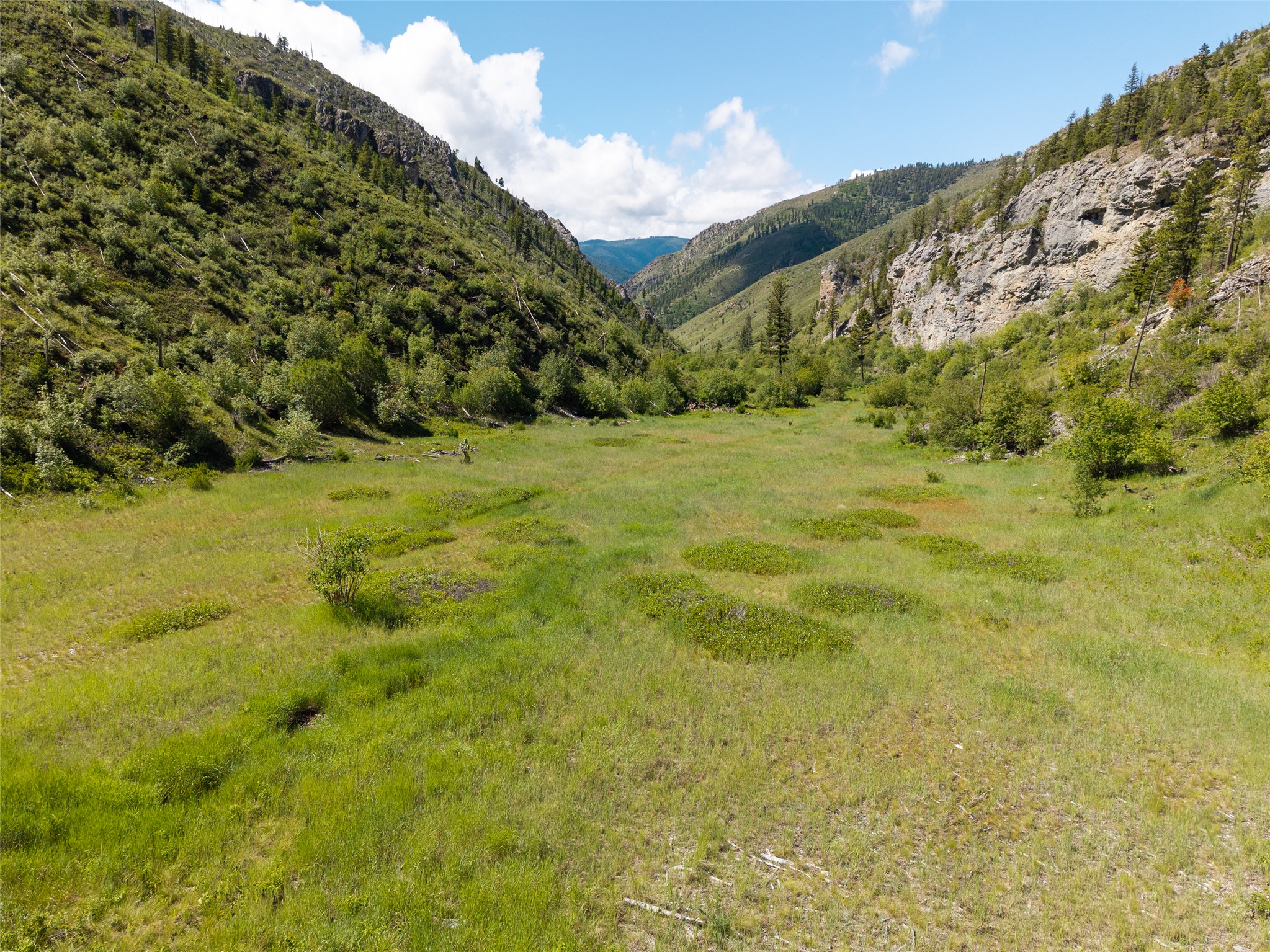15520 Dry Gulch Road Property Photo 24