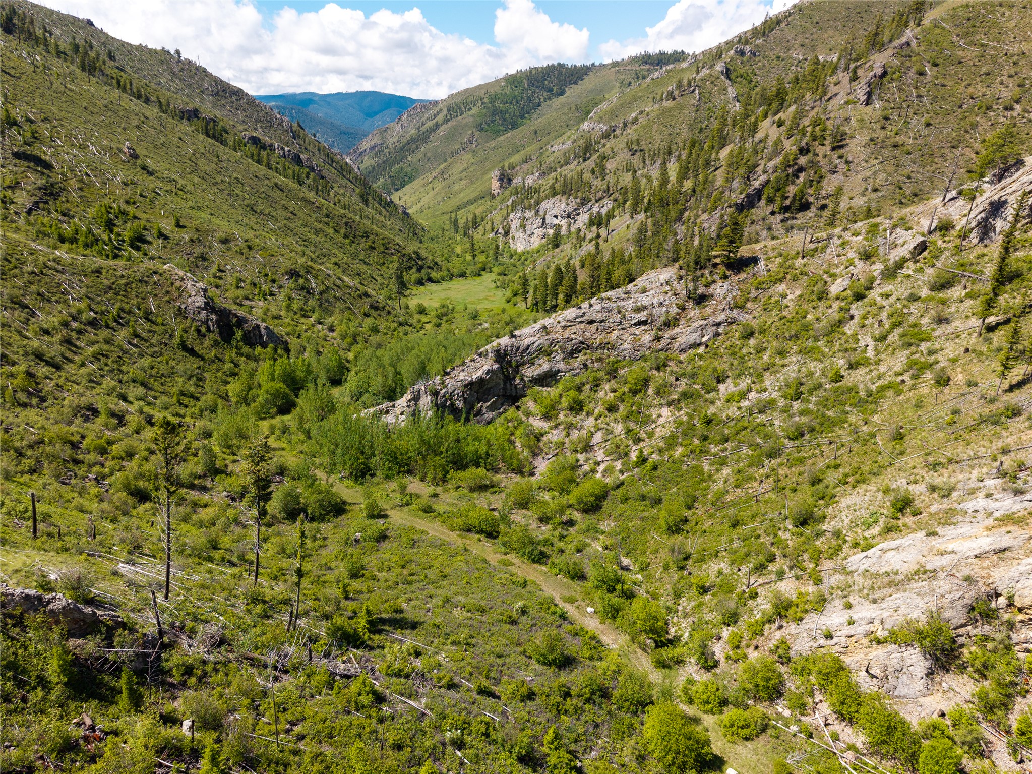 15520 Dry Gulch Road Property Photo 31