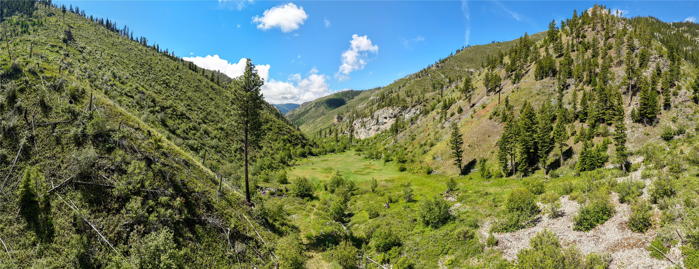 15520 Dry Gulch Road Property Photo 34