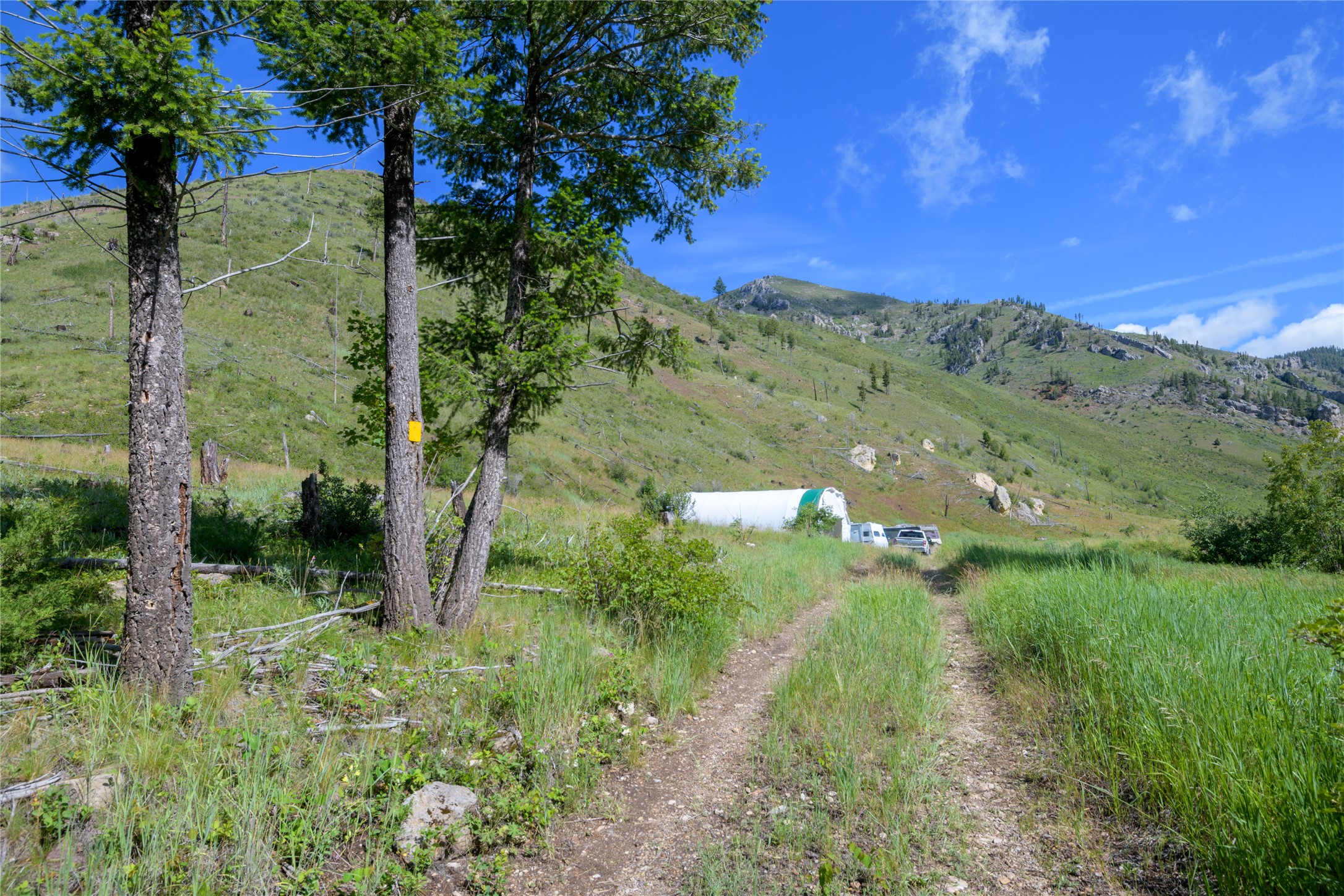 15520 Dry Gulch Road Property Photo 35