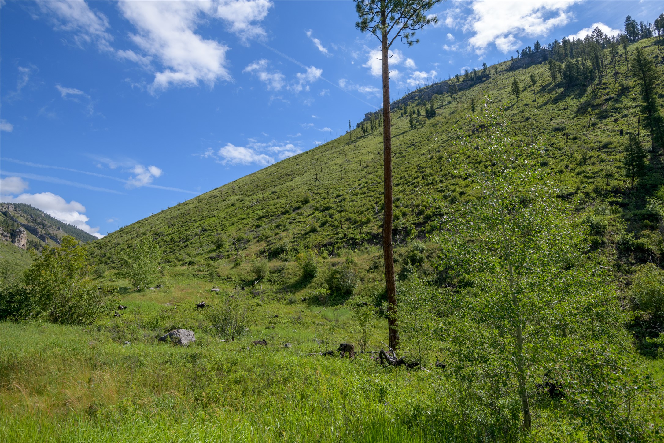 15520 Dry Gulch Road Property Photo 37