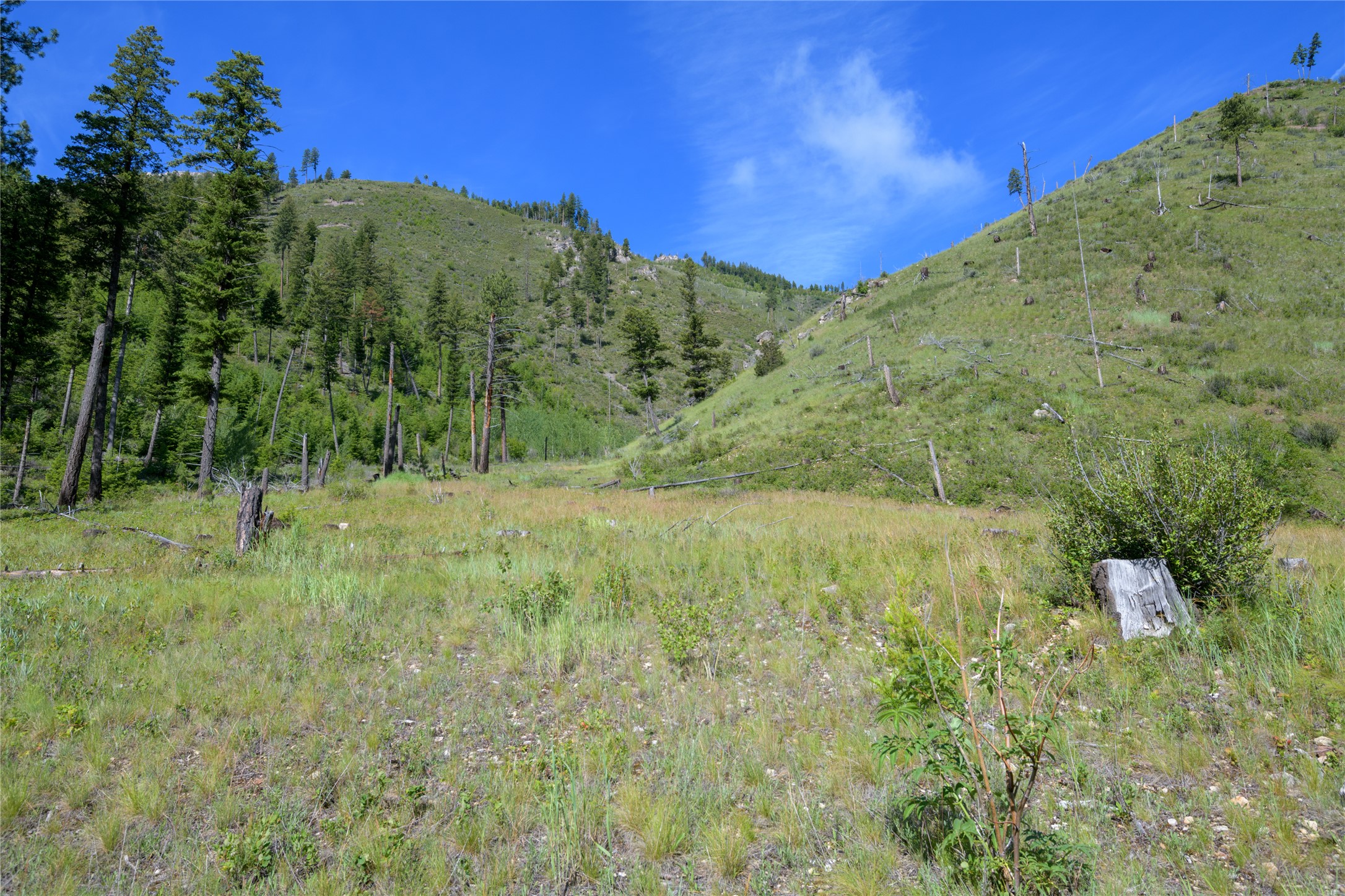 15520 Dry Gulch Road Property Photo 38