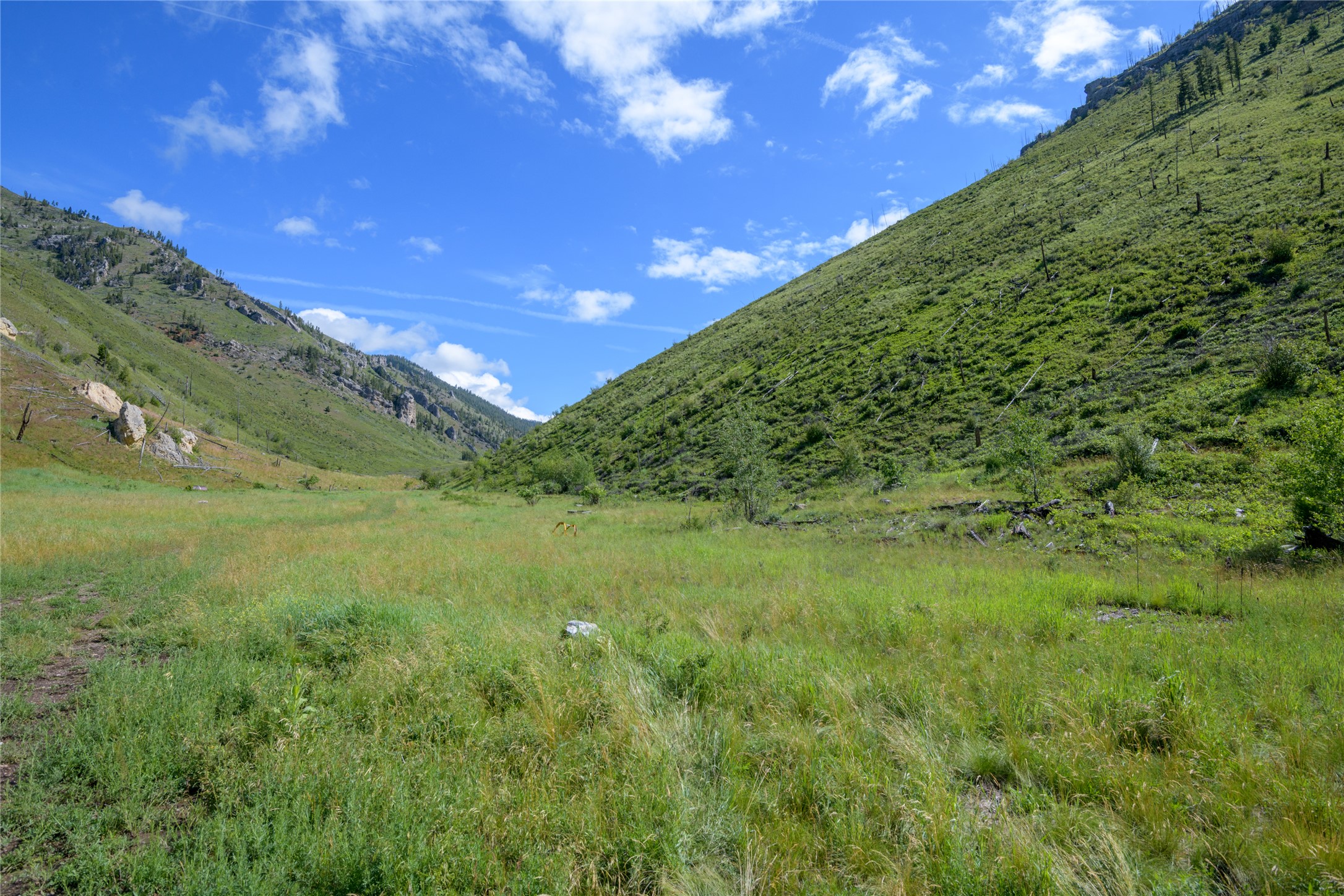 15520 Dry Gulch Road Property Photo 39