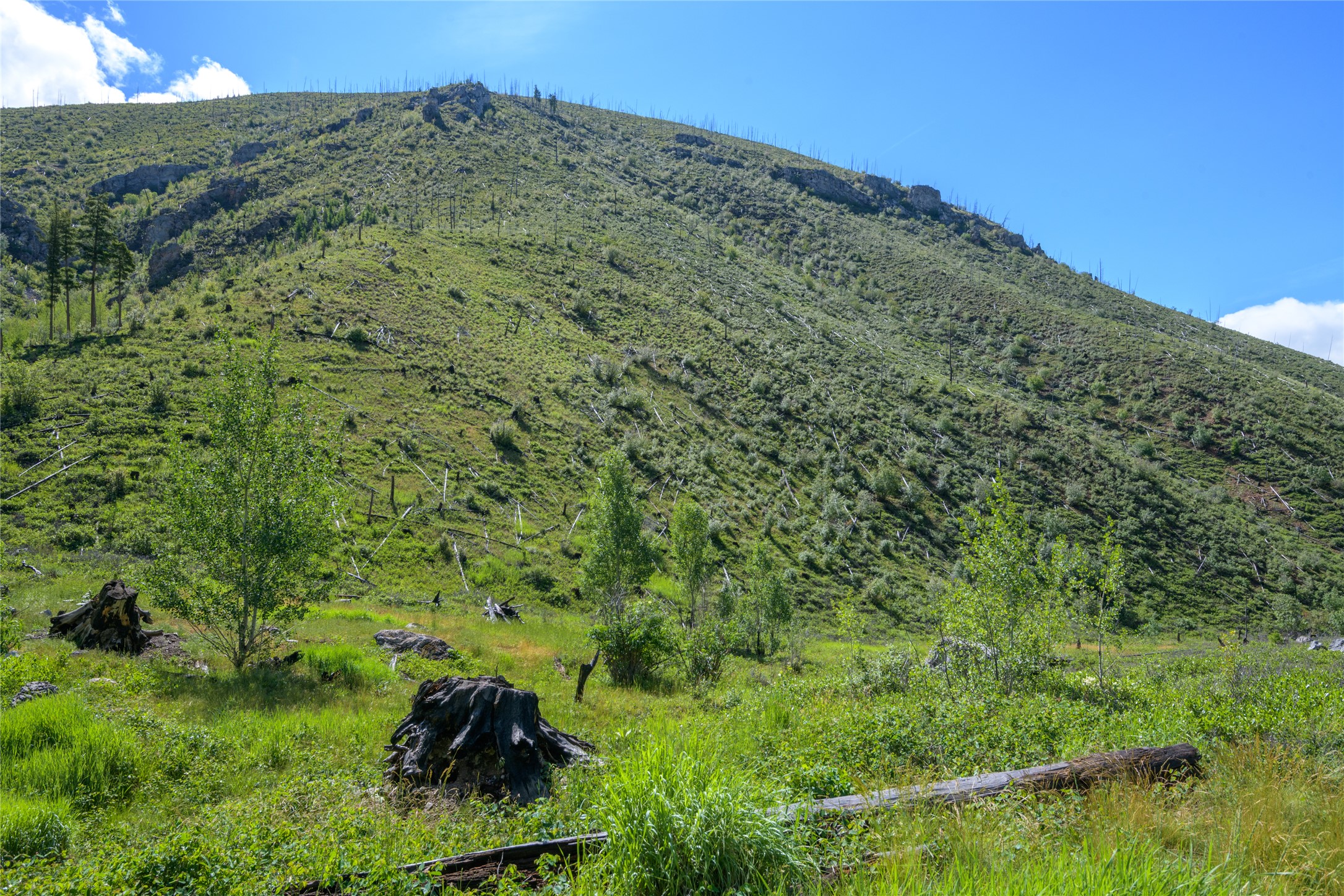 15520 Dry Gulch Road Property Photo 41