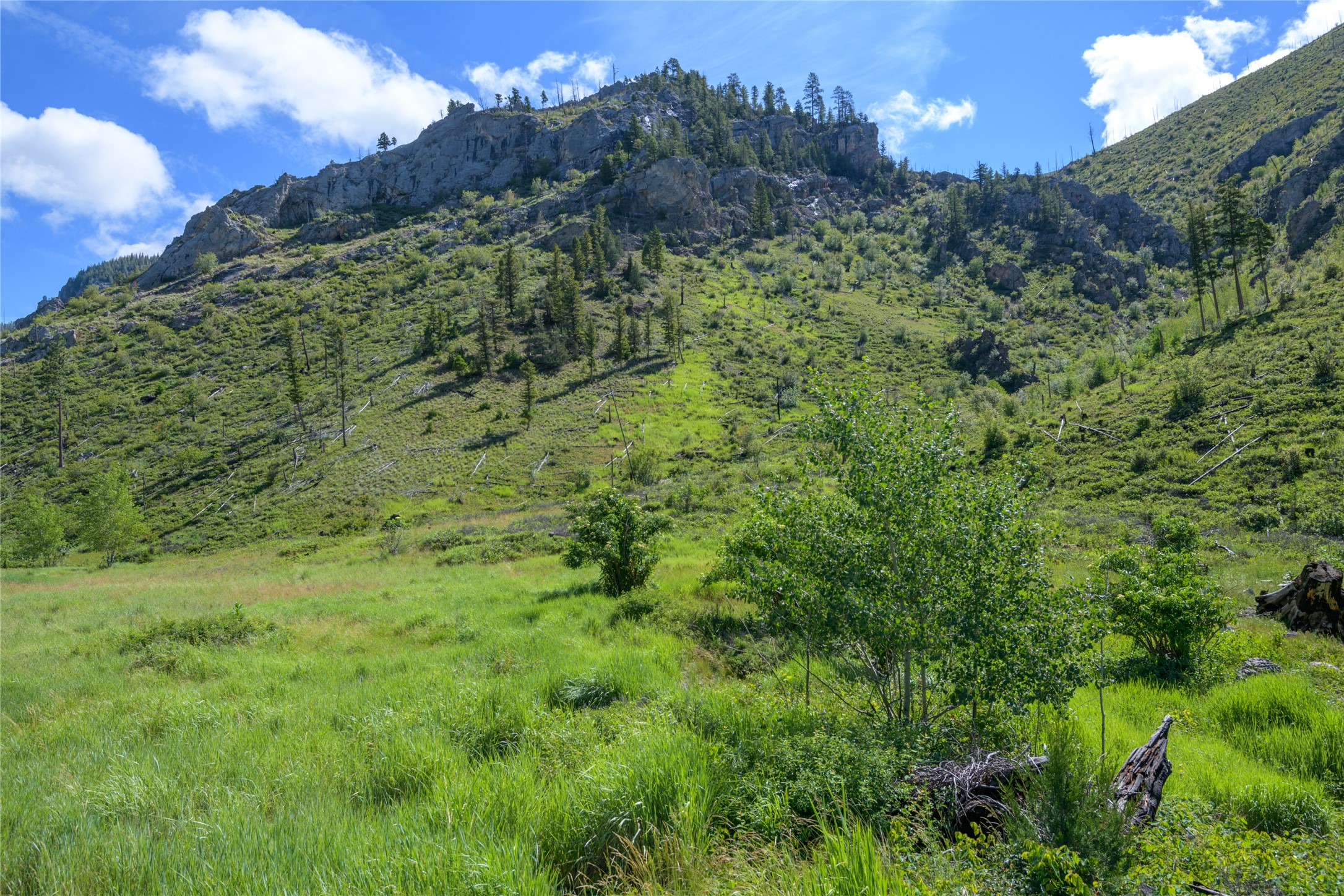15520 Dry Gulch Road Property Photo 42