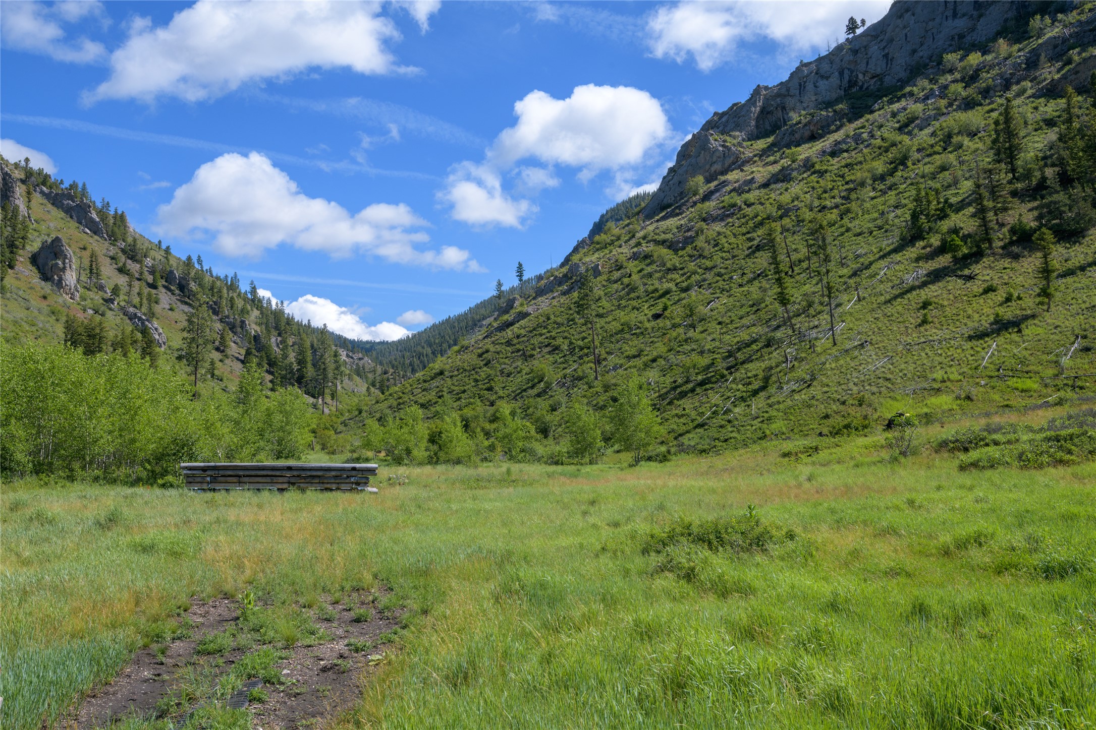 15520 Dry Gulch Road Property Photo 43