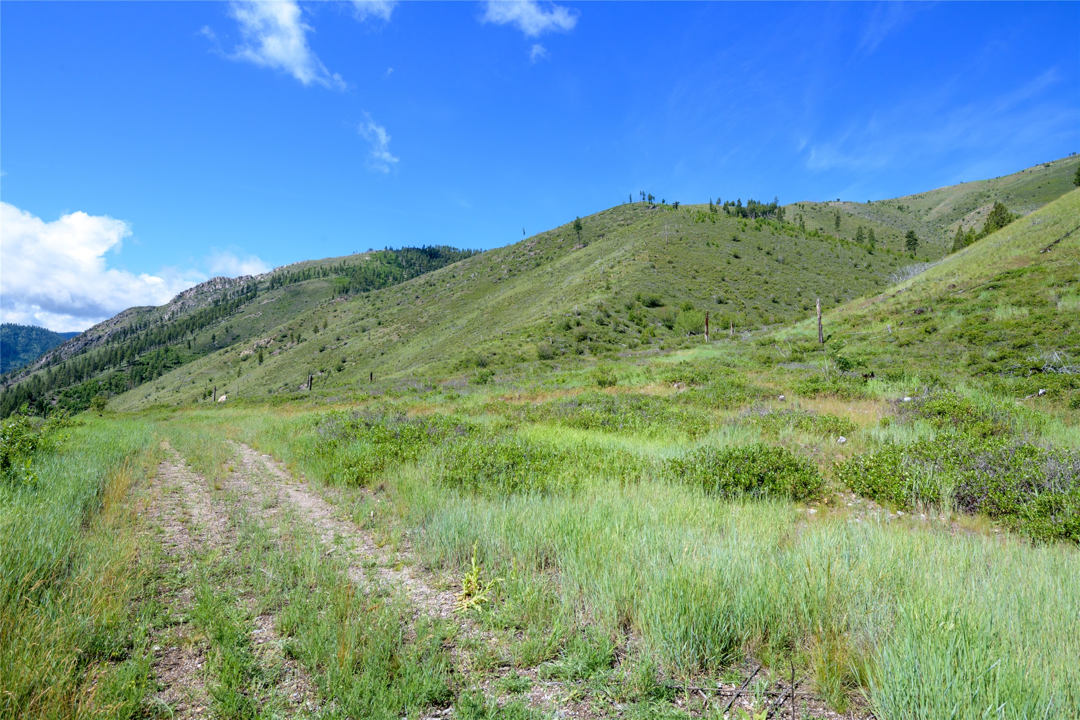 15520 Dry Gulch Road Property Photo 44