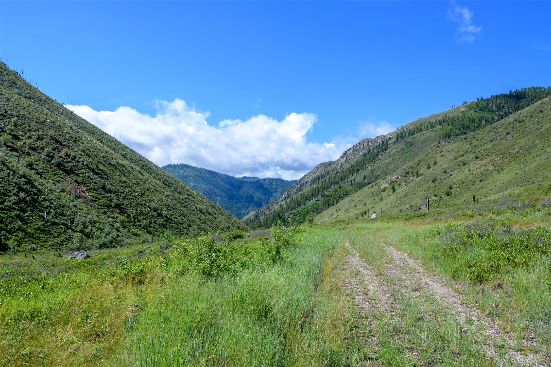 15520 Dry Gulch Road Property Photo 45