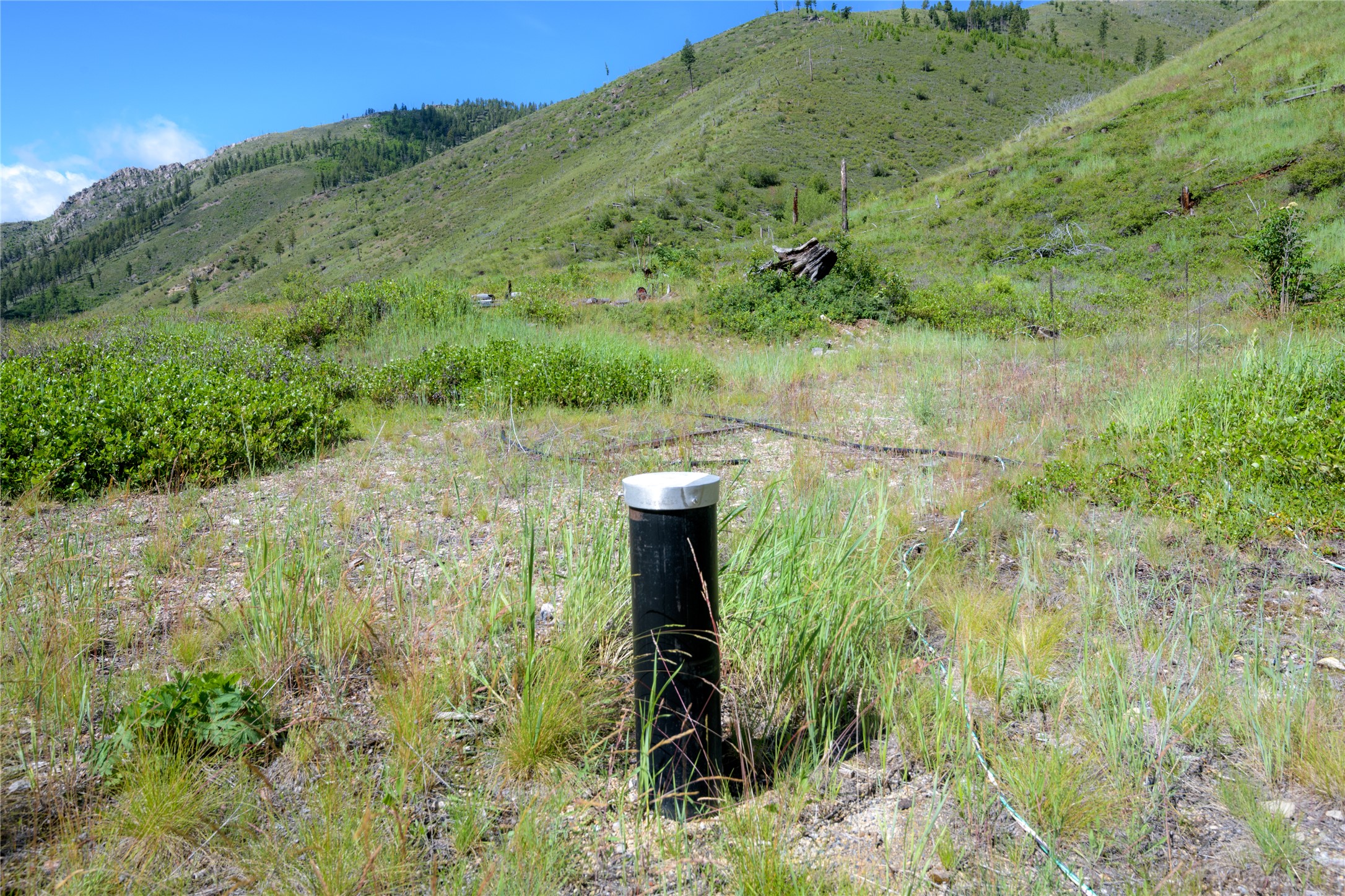 15520 Dry Gulch Road Property Photo 46