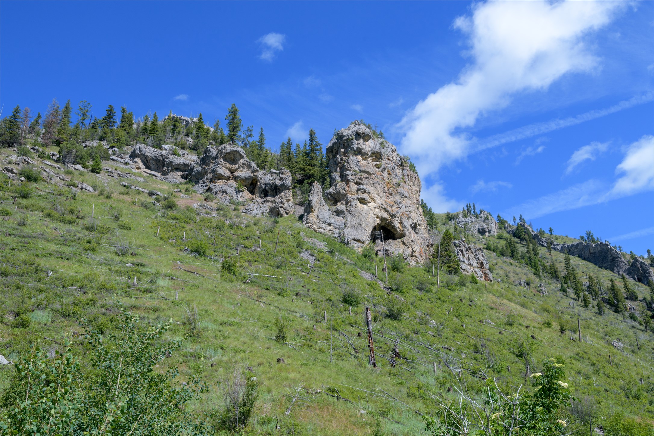 15520 Dry Gulch Road Property Photo 47
