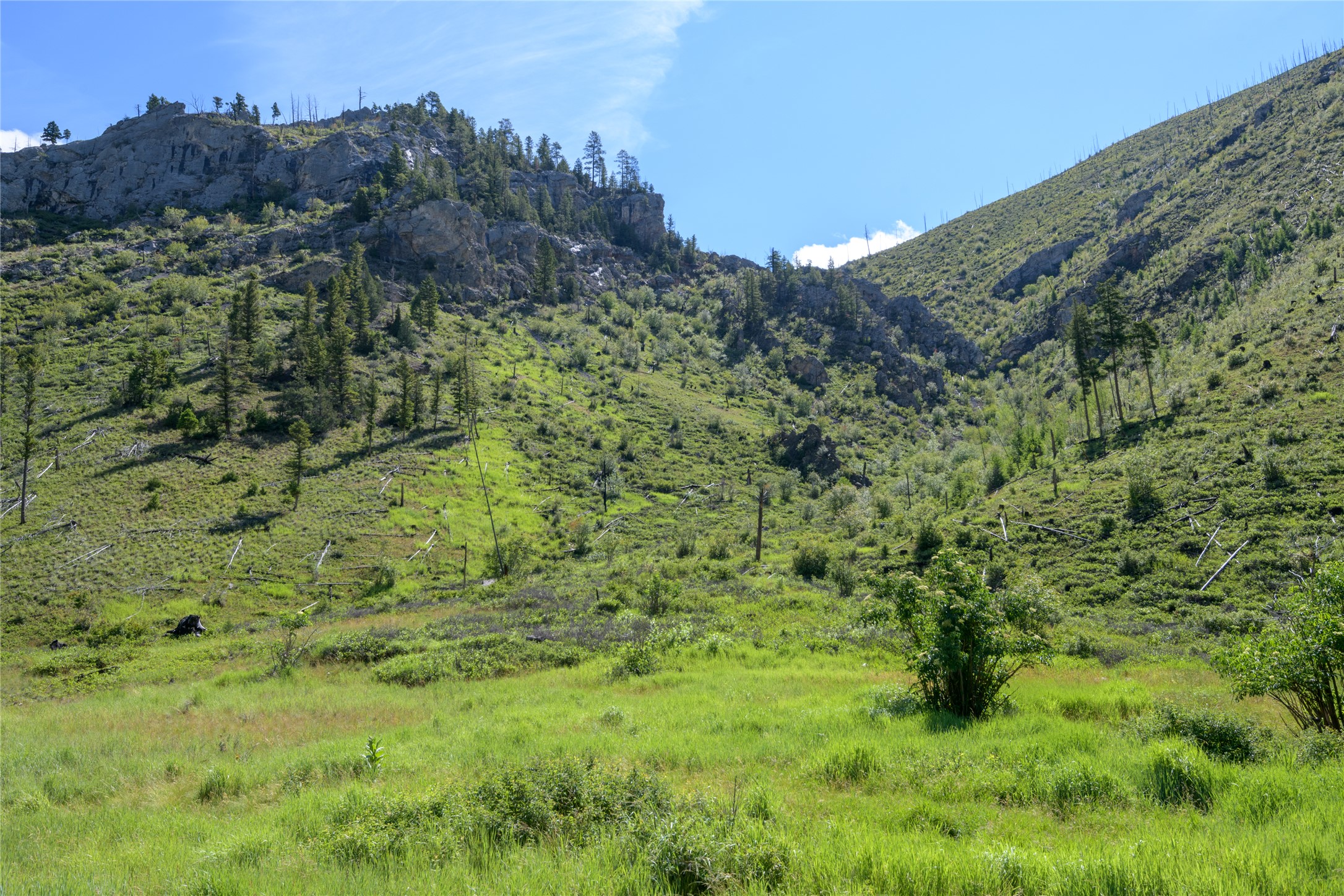 15520 Dry Gulch Road Property Photo 48