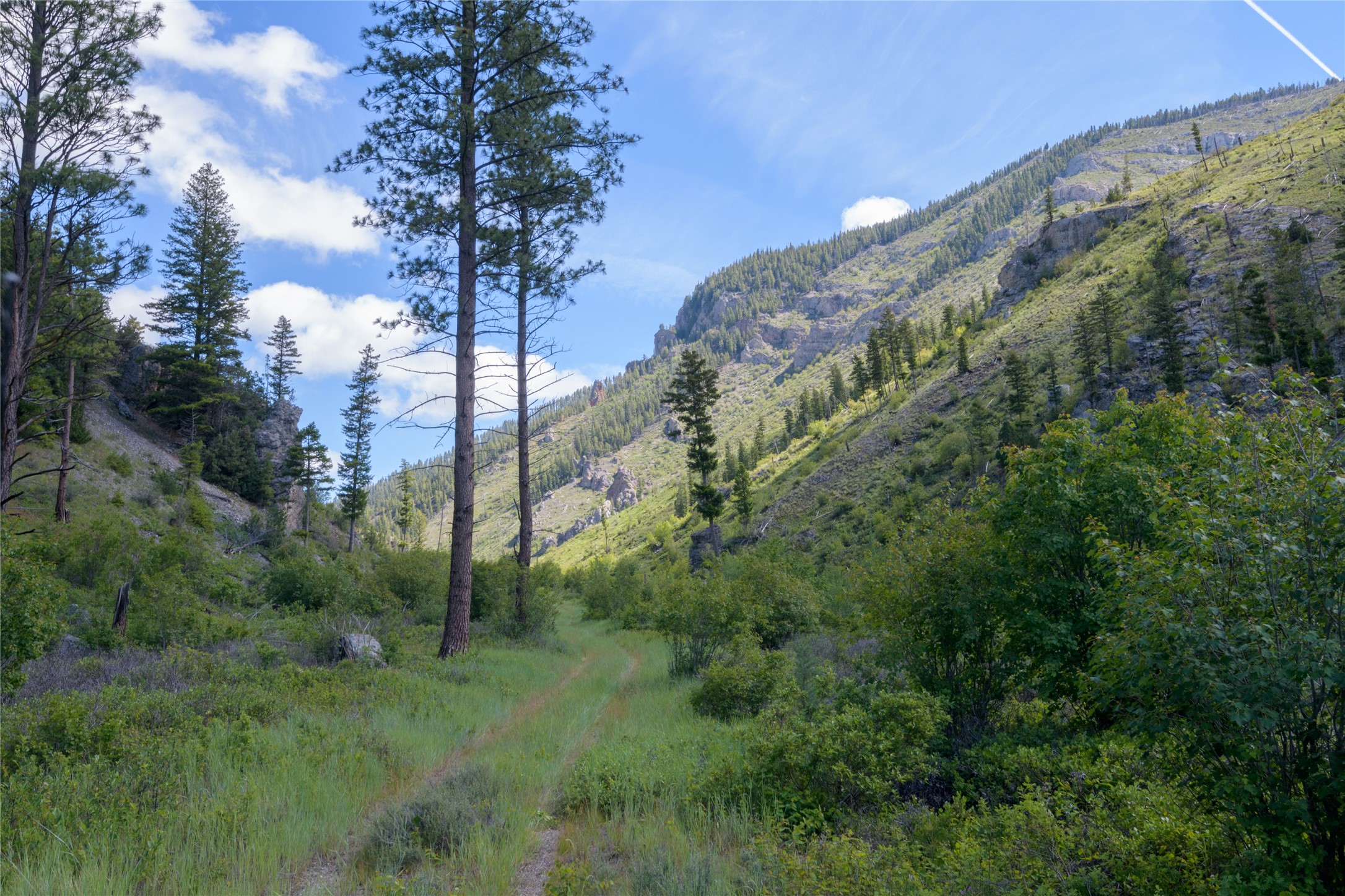 15520 Dry Gulch Road Property Photo 49
