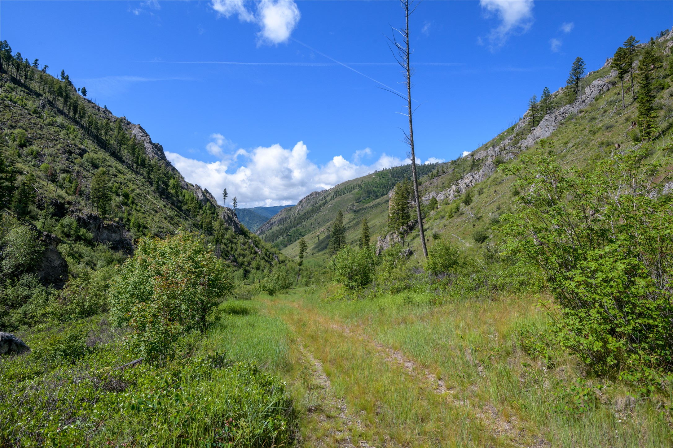 15520 Dry Gulch Road Property Photo 50