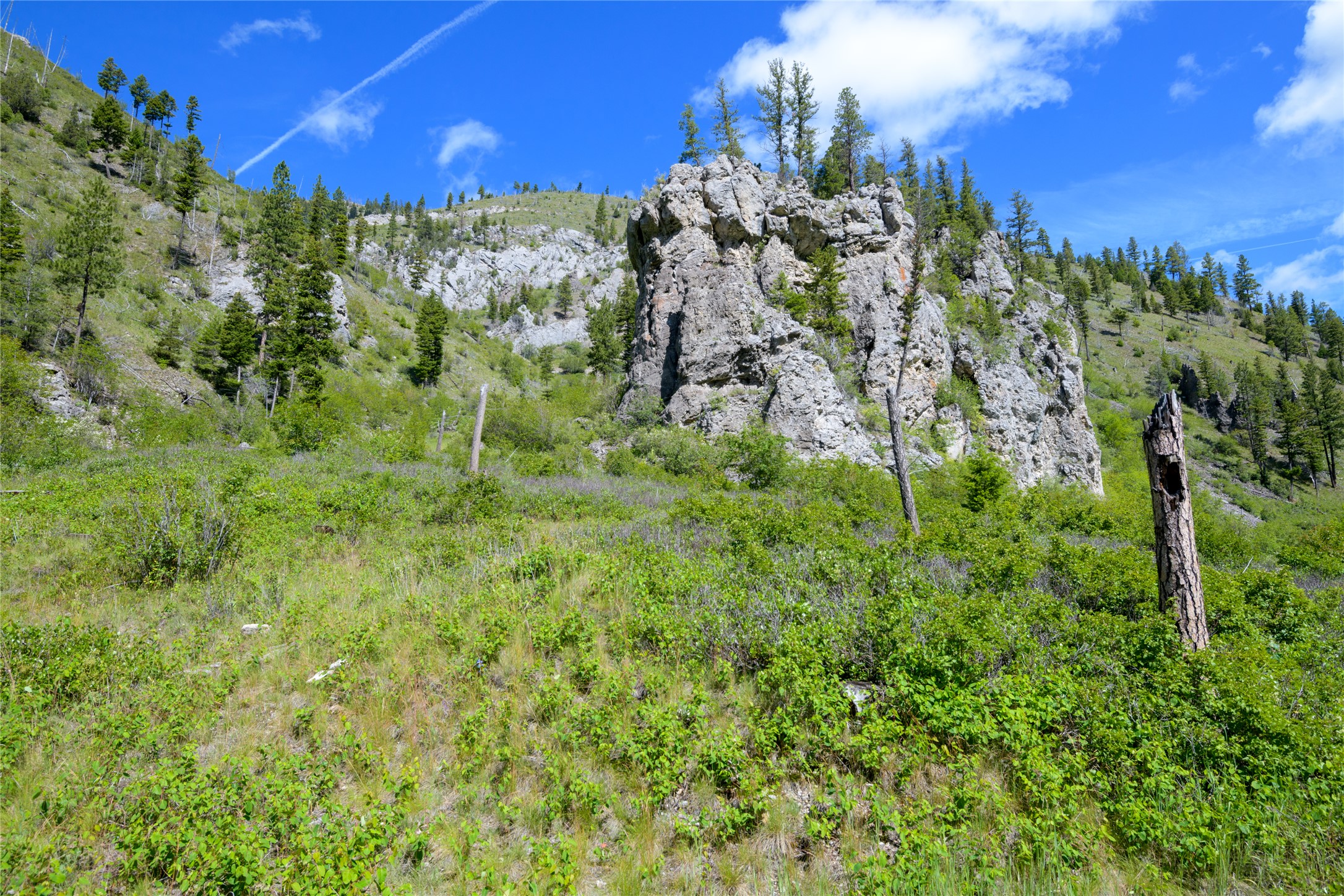 15520 Dry Gulch Road Property Photo 51