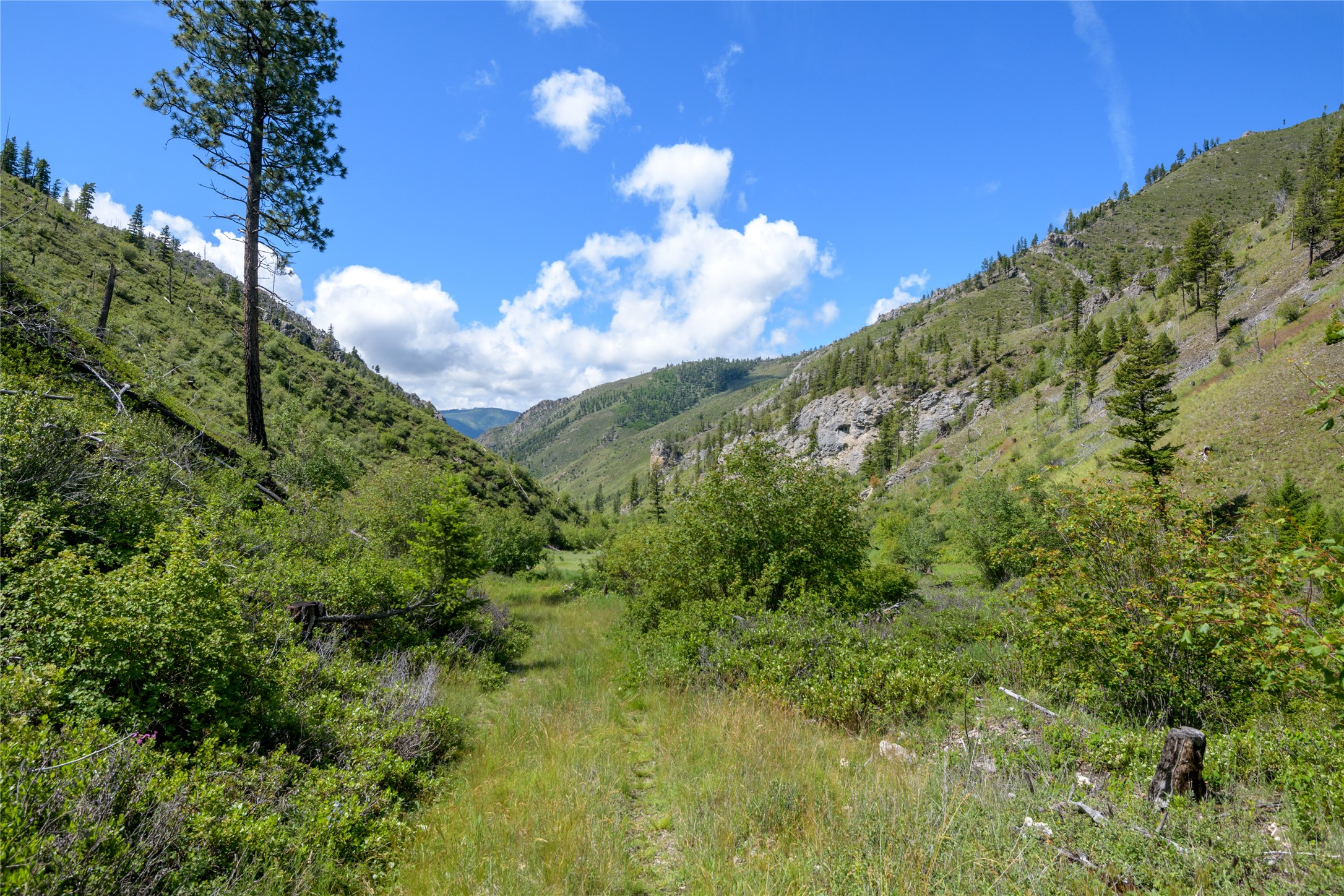 15520 Dry Gulch Road Property Photo 55