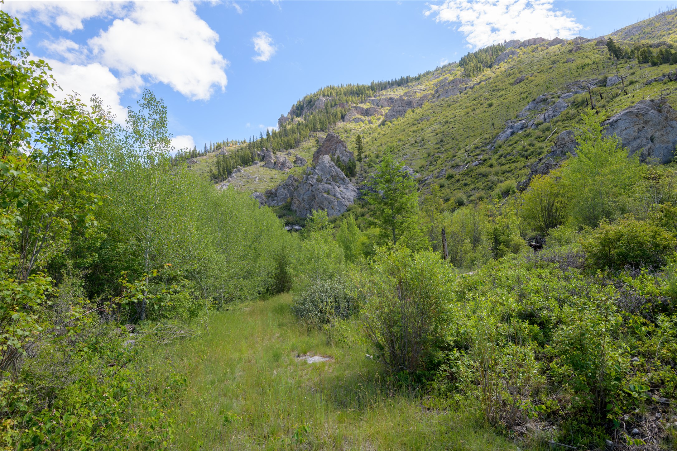 15520 Dry Gulch Road Property Photo 56