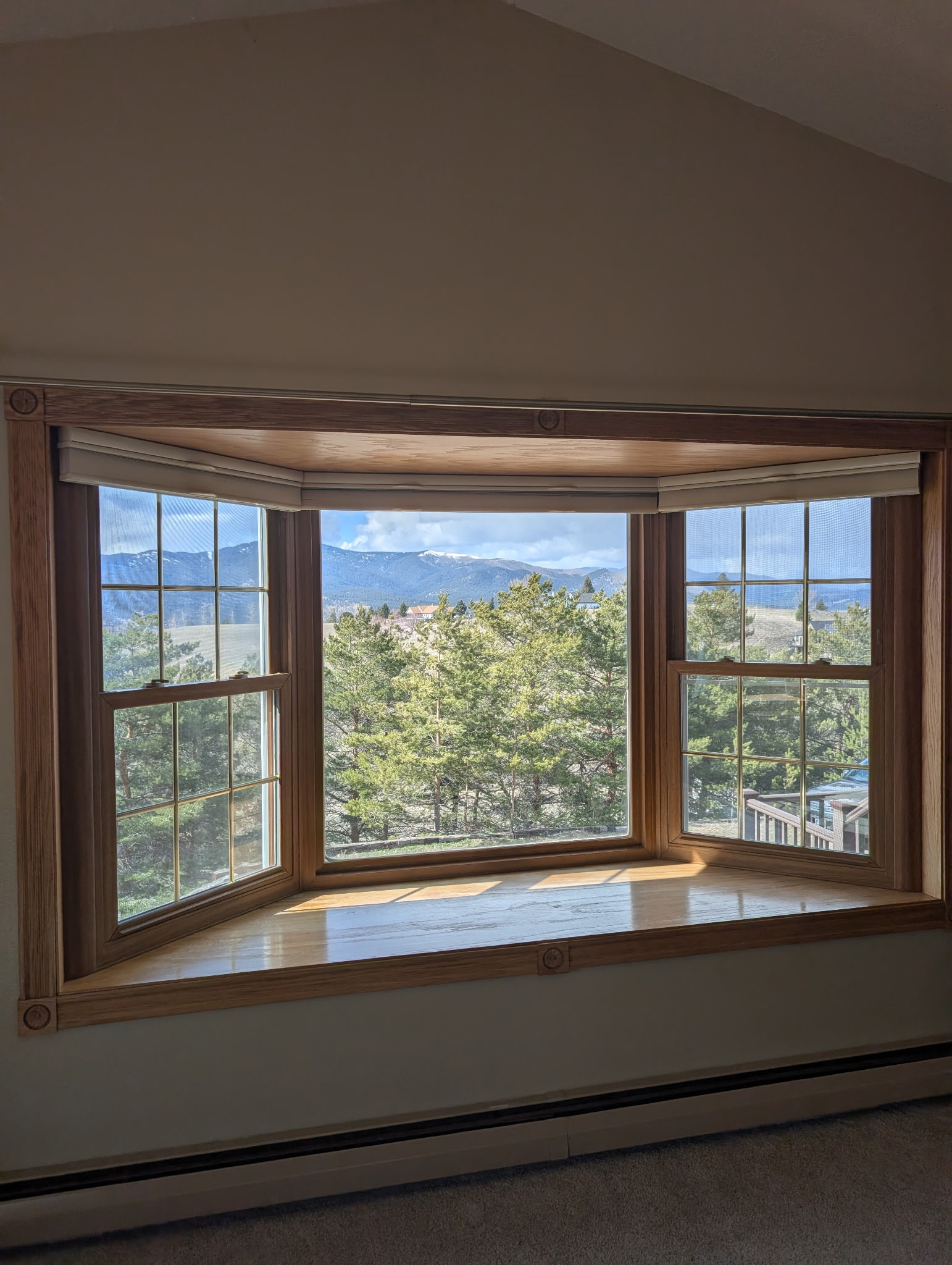 8200 Springtime Road Property Photo 10