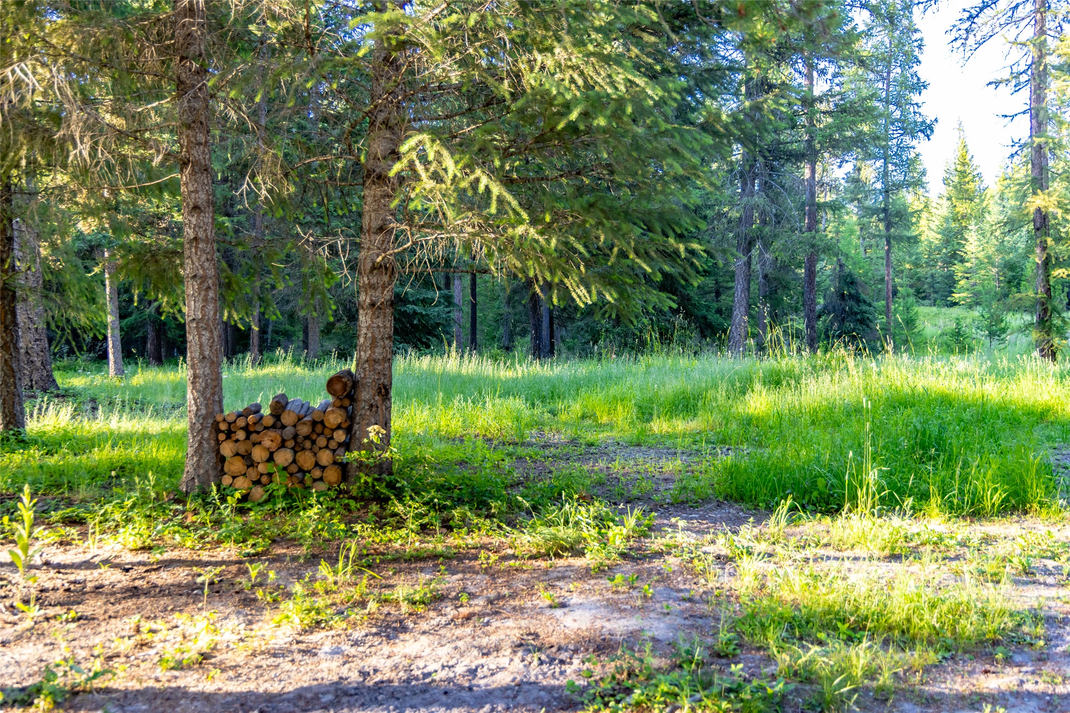 4260 Us Highway 93 W Property Photo 82