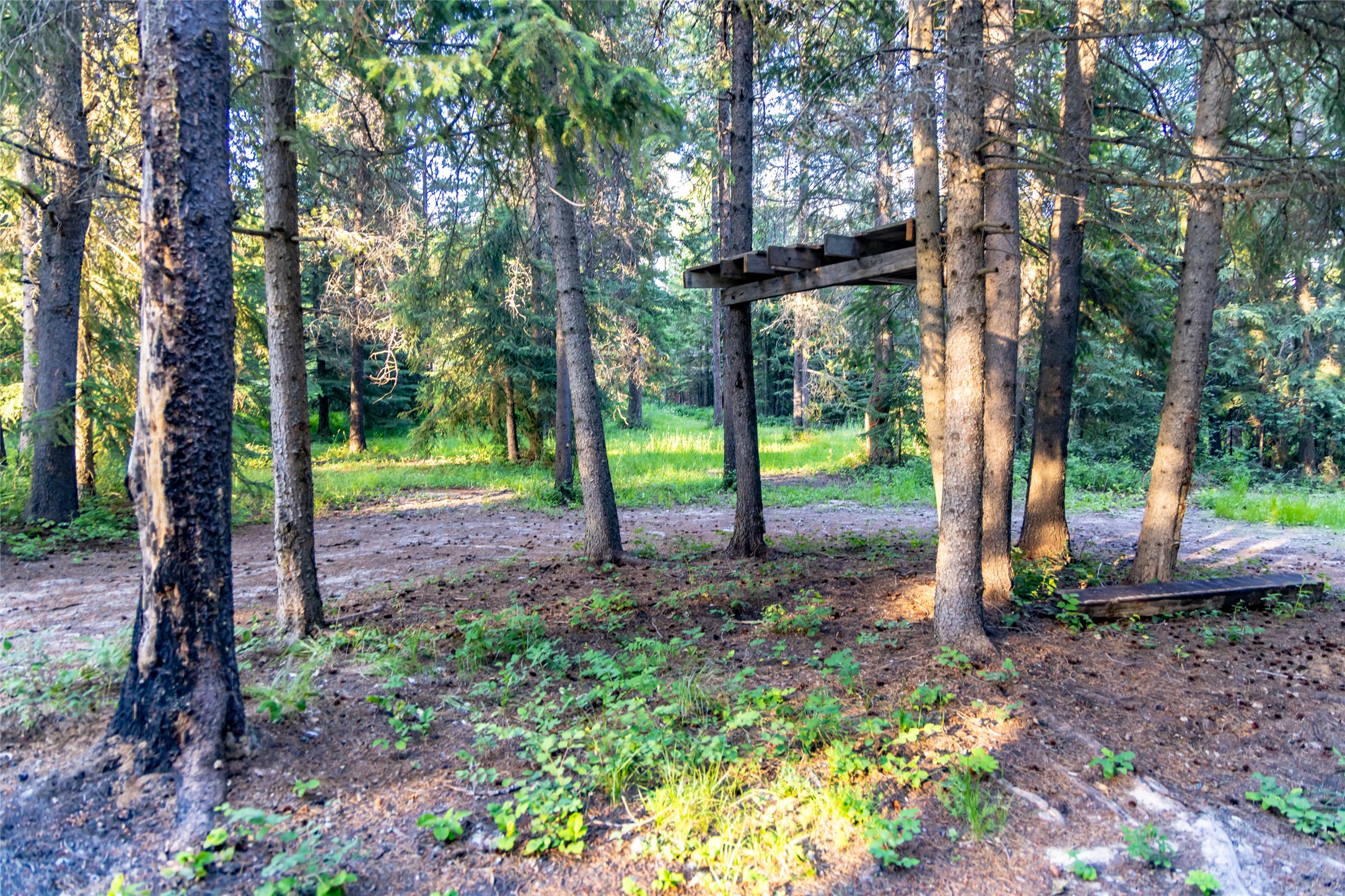 4260 Us Highway 93 W Property Photo 84
