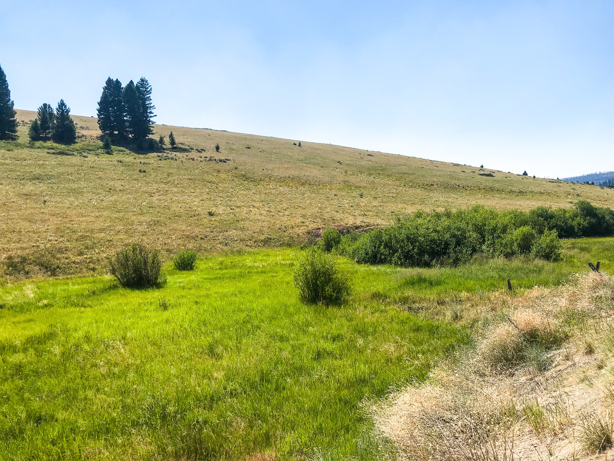 Tbd Upper Deep Creek Property Photo 4