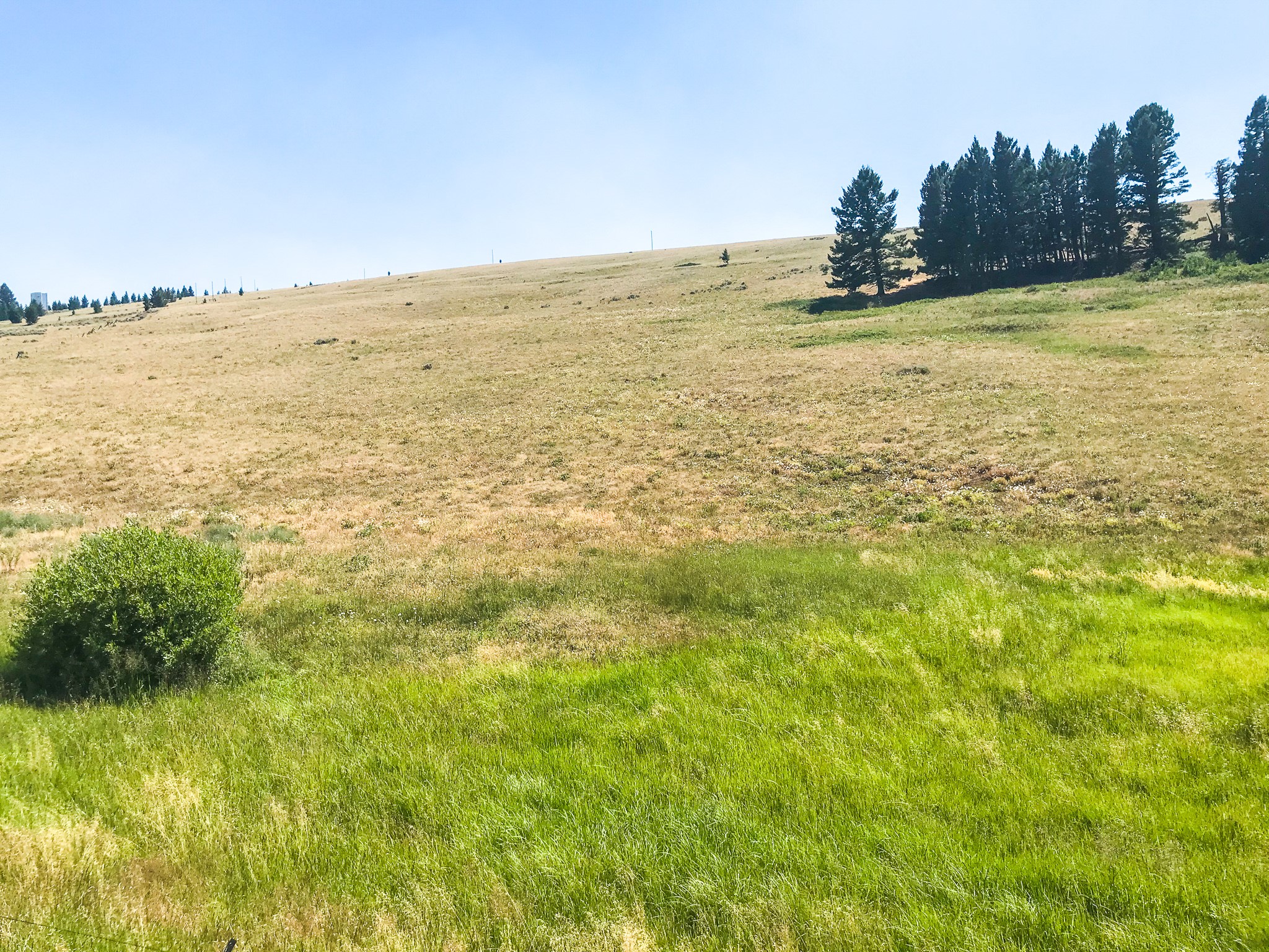 Tbd Upper Deep Creek Property Photo 6