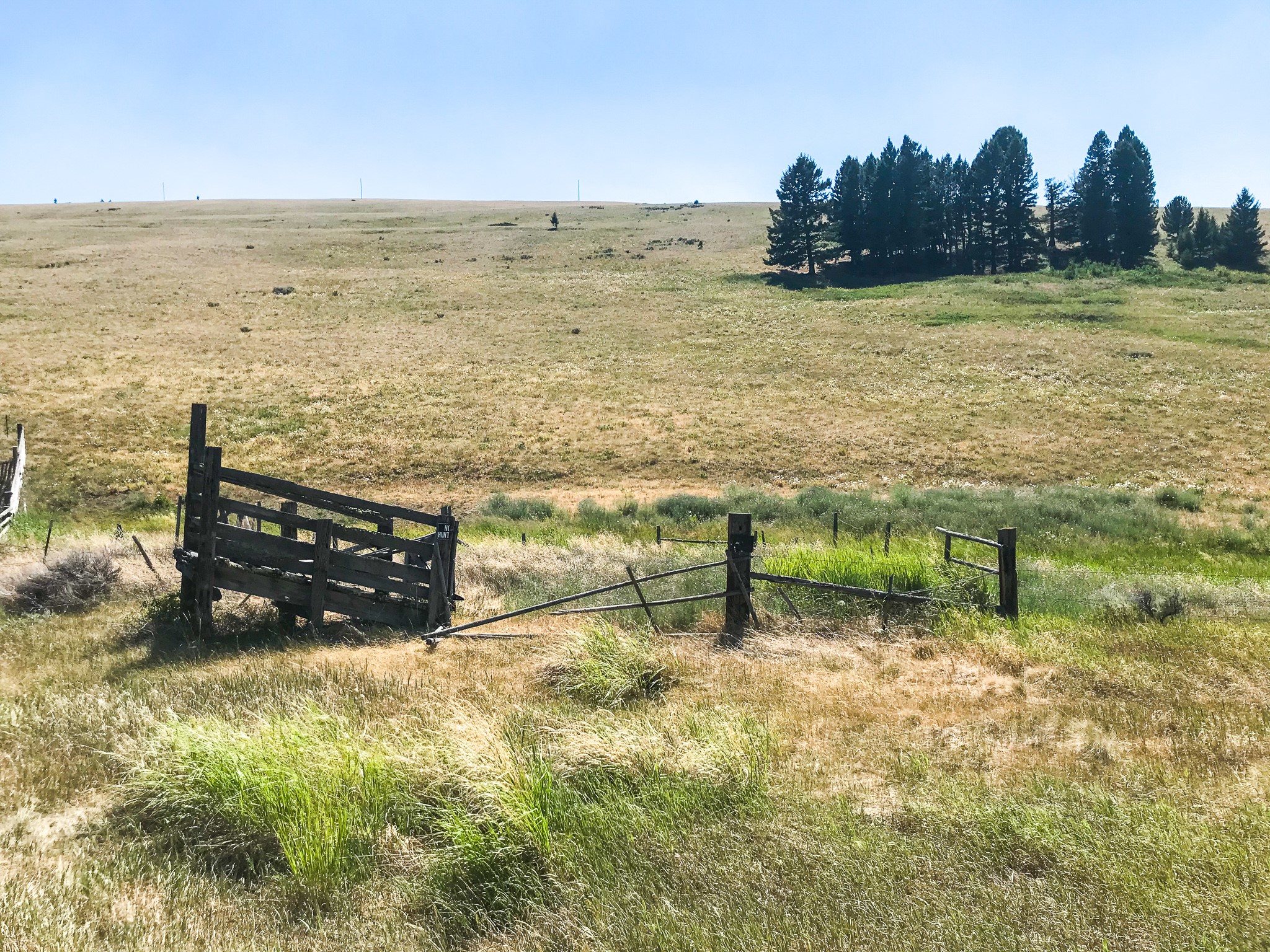 Tbd Upper Deep Creek Property Photo 7