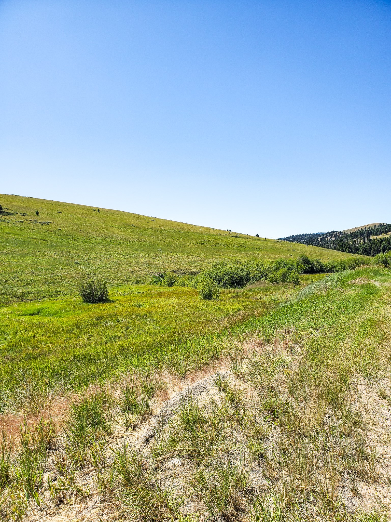 Tbd Upper Deep Creek Property Photo 12