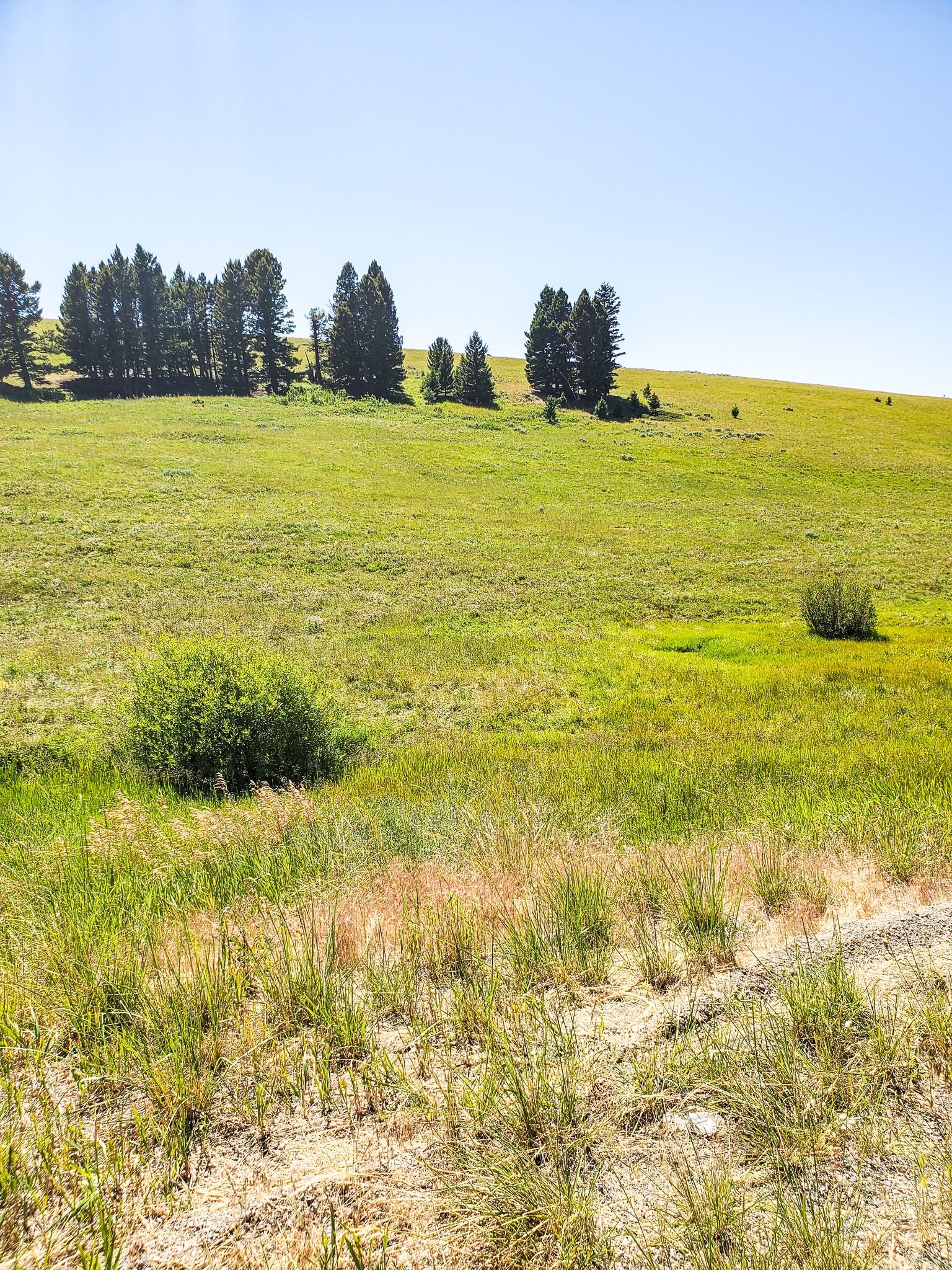 Tbd Upper Deep Creek Property Photo 13