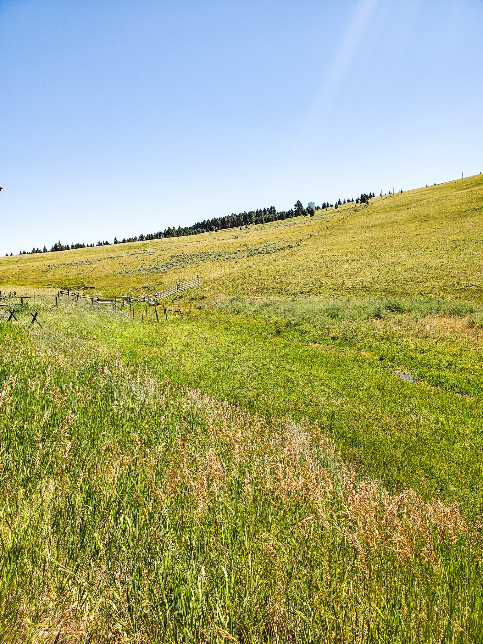 Tbd Upper Deep Creek Property Photo 14