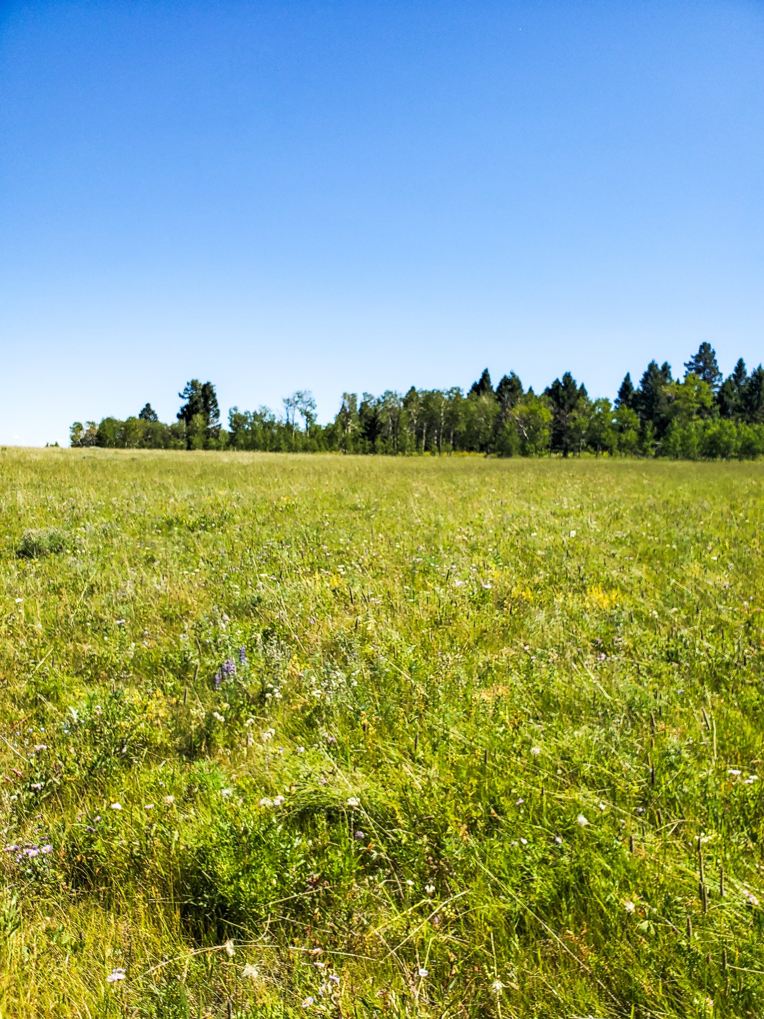 Tbd Upper Deep Creek Property Photo 19