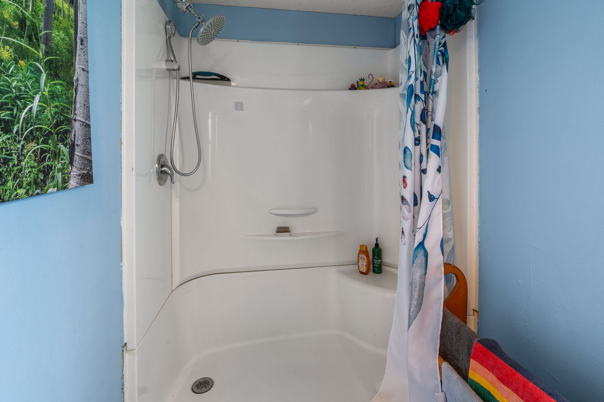 167 D Street Property Photo 32
