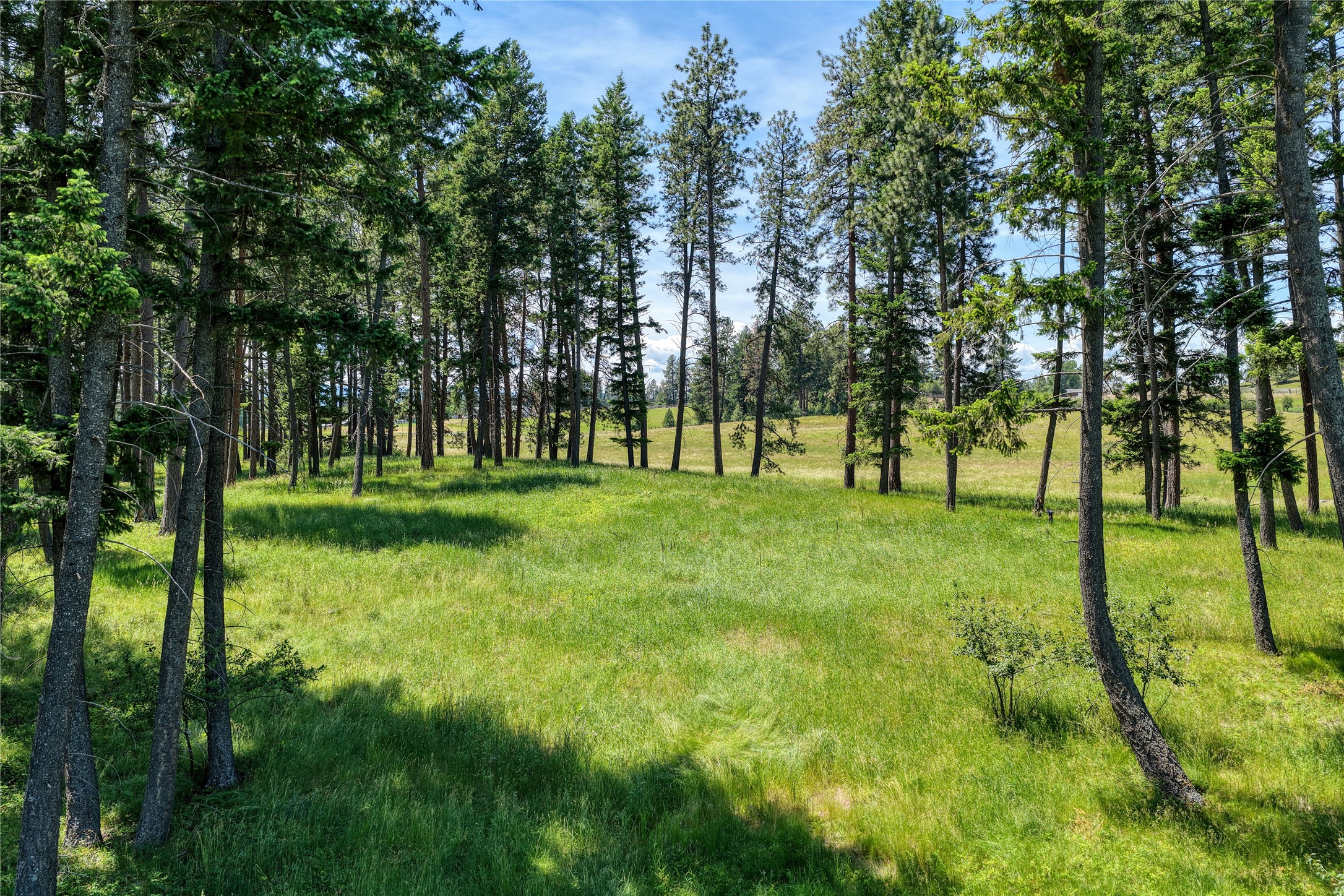 250 Patriots Lane Property Photo 11