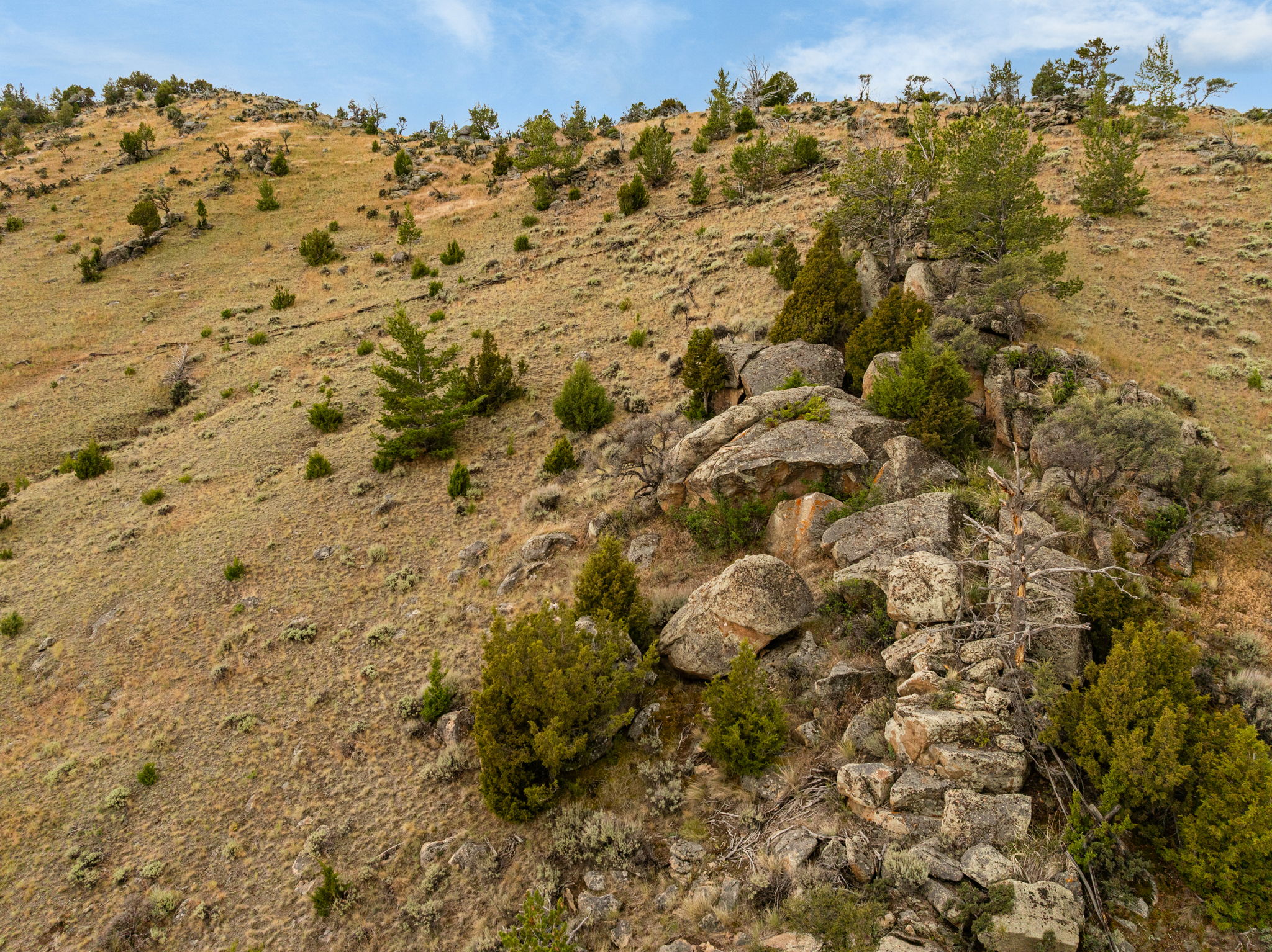 42 E L & M Ranch Road Property Photo 120