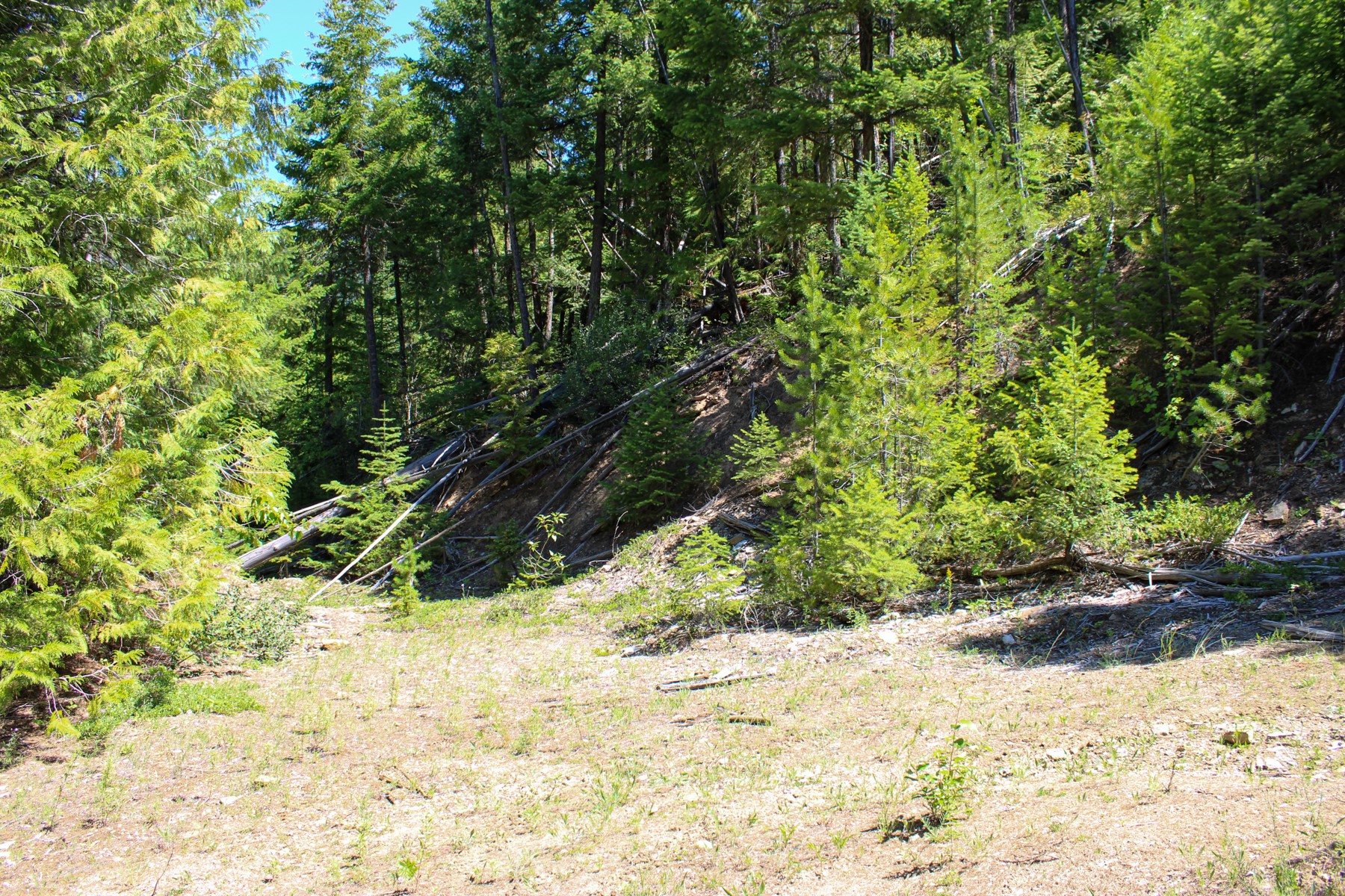 Tract 2 Pardee Flat Road Property Photo 14