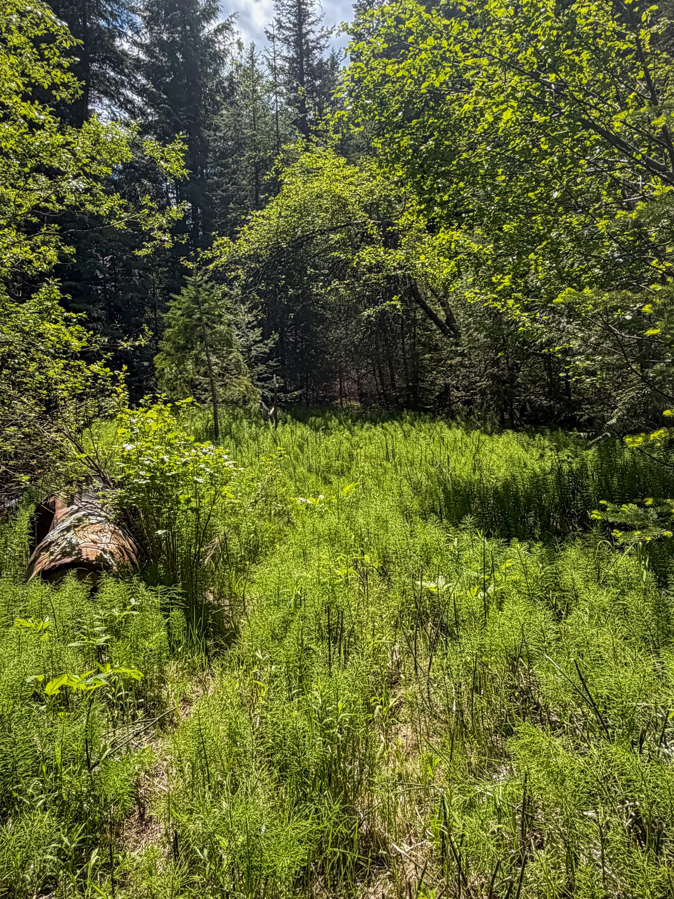 Tract 2 Pardee Flat Road Property Photo 24