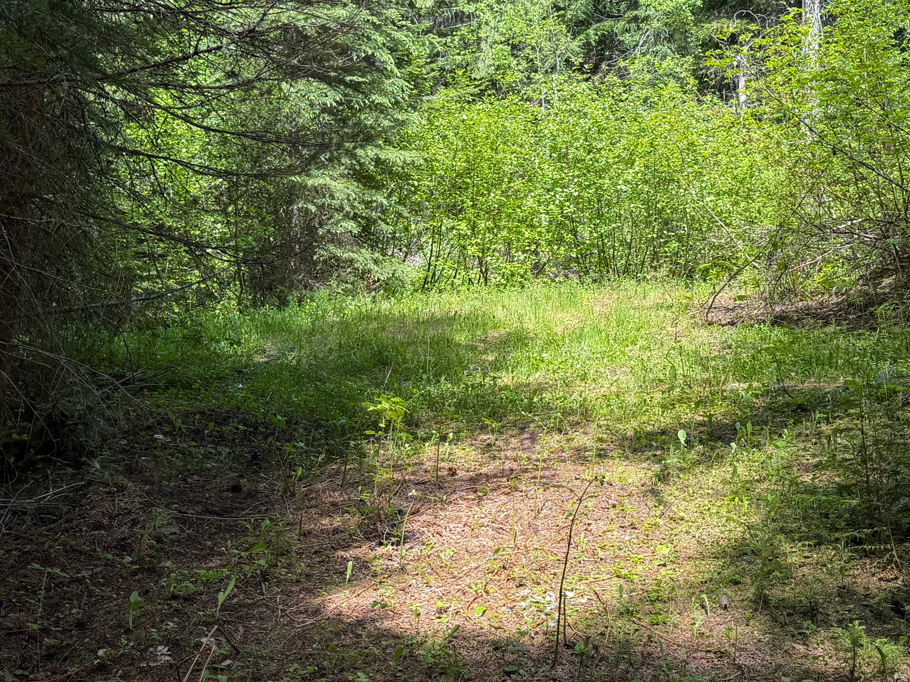 Tract 2 Pardee Flat Road Property Photo 26
