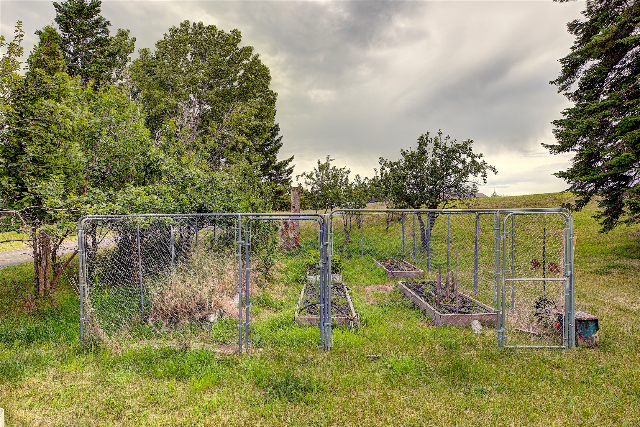 37468 Ponderilla Drive Property Photo 55